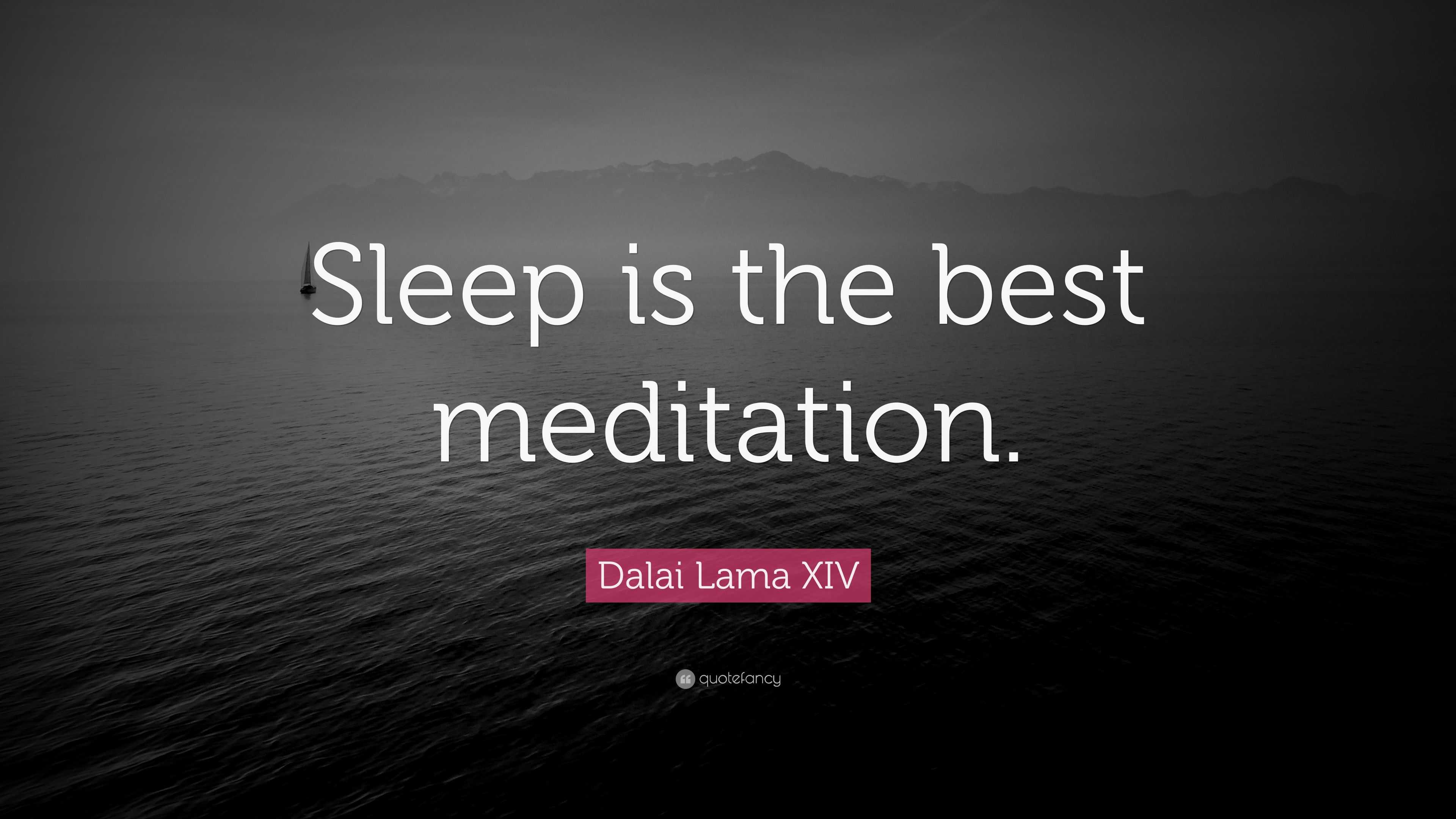 Dalai Lama XIV Quote: “Sleep is the best meditation.”