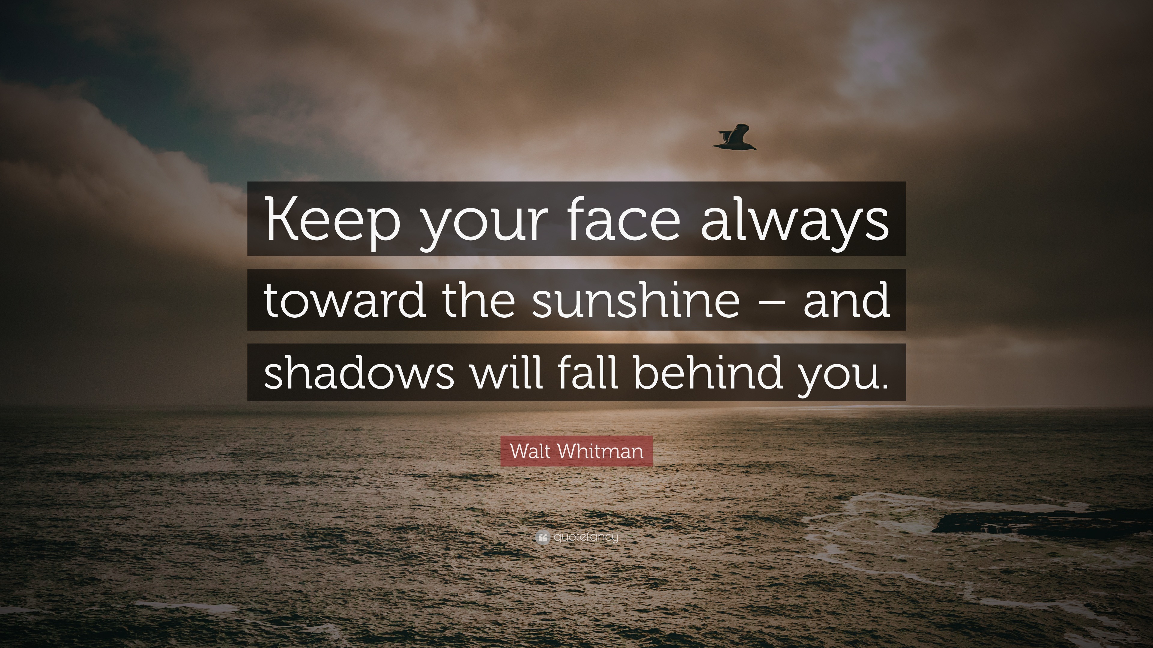 Keep your face always toward the sunshine - and shadows will fall behind yo...