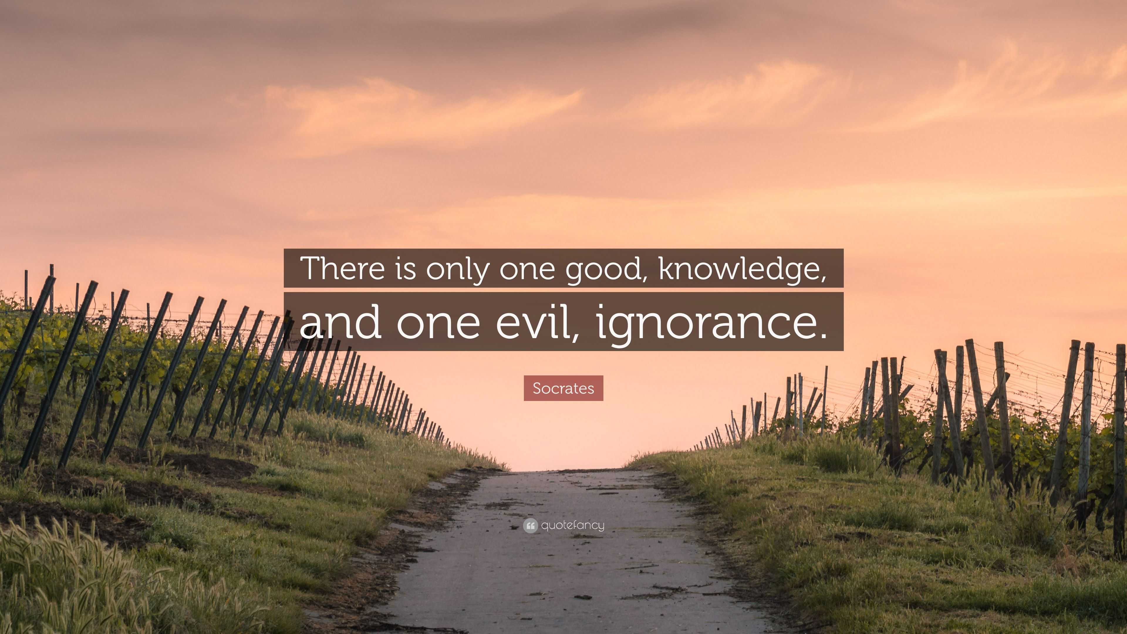 Socrates Quote: “There is only one good, knowledge, and one evil