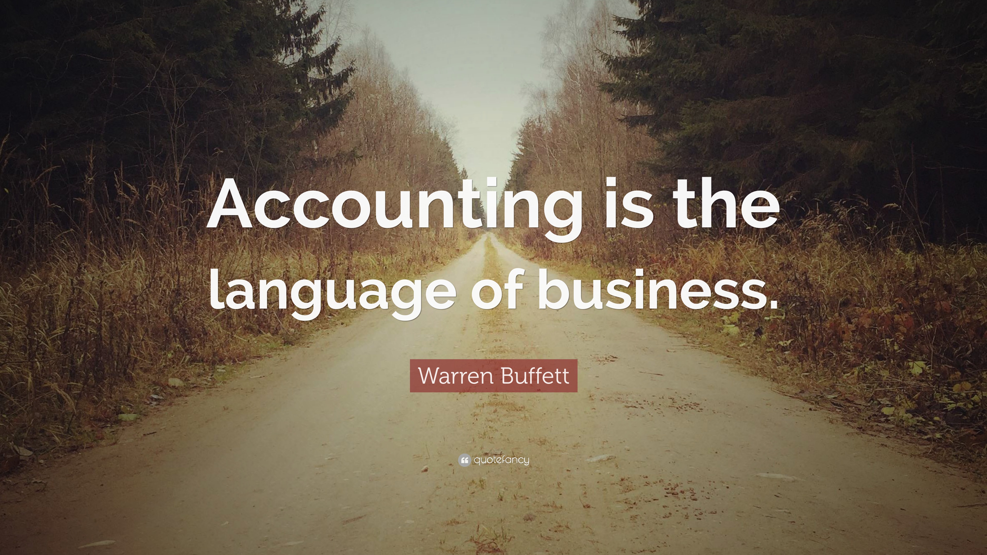 Accountant quotes images