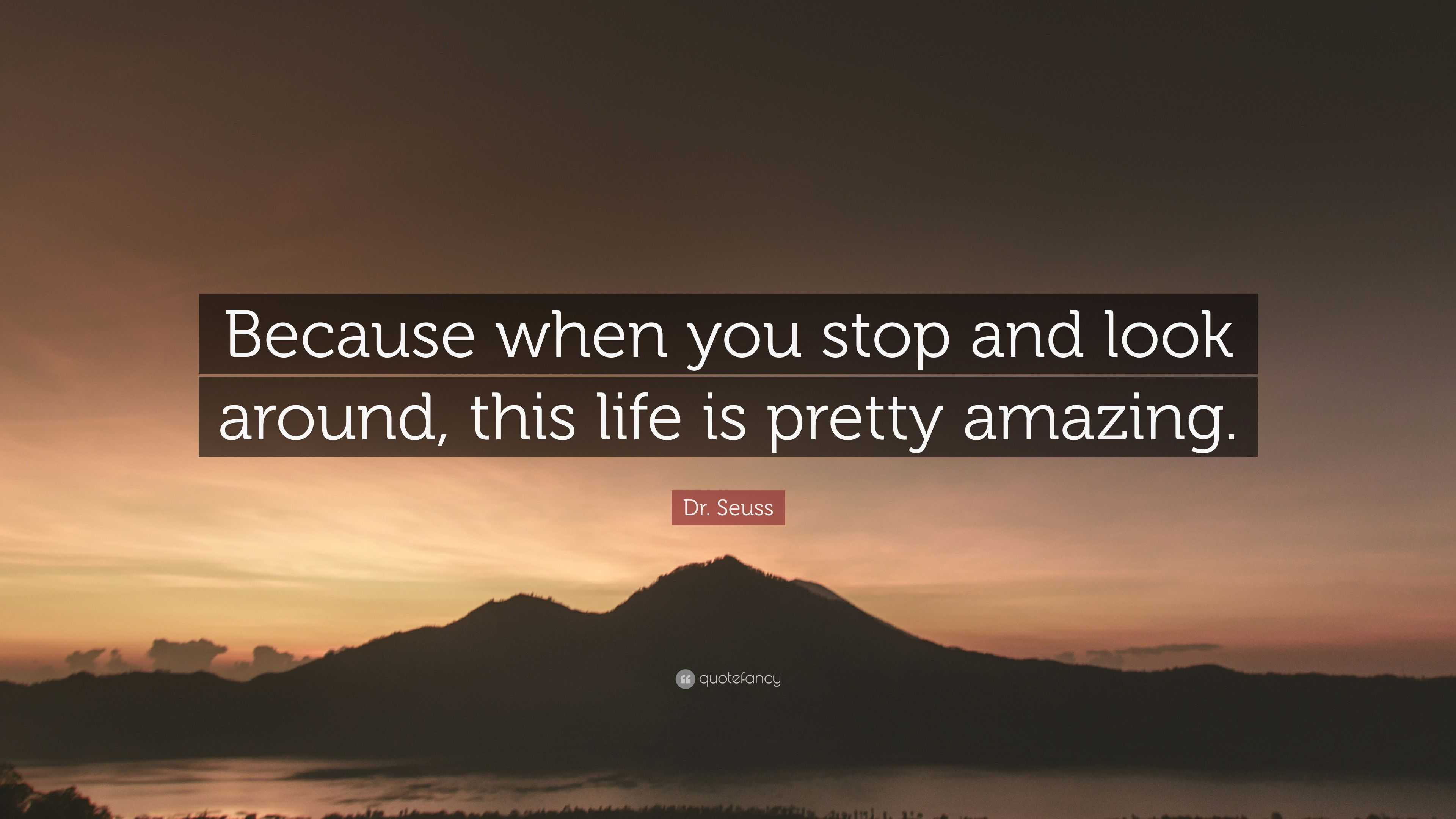 Dr. Seuss Quote: “Because when you stop and look around, this life is