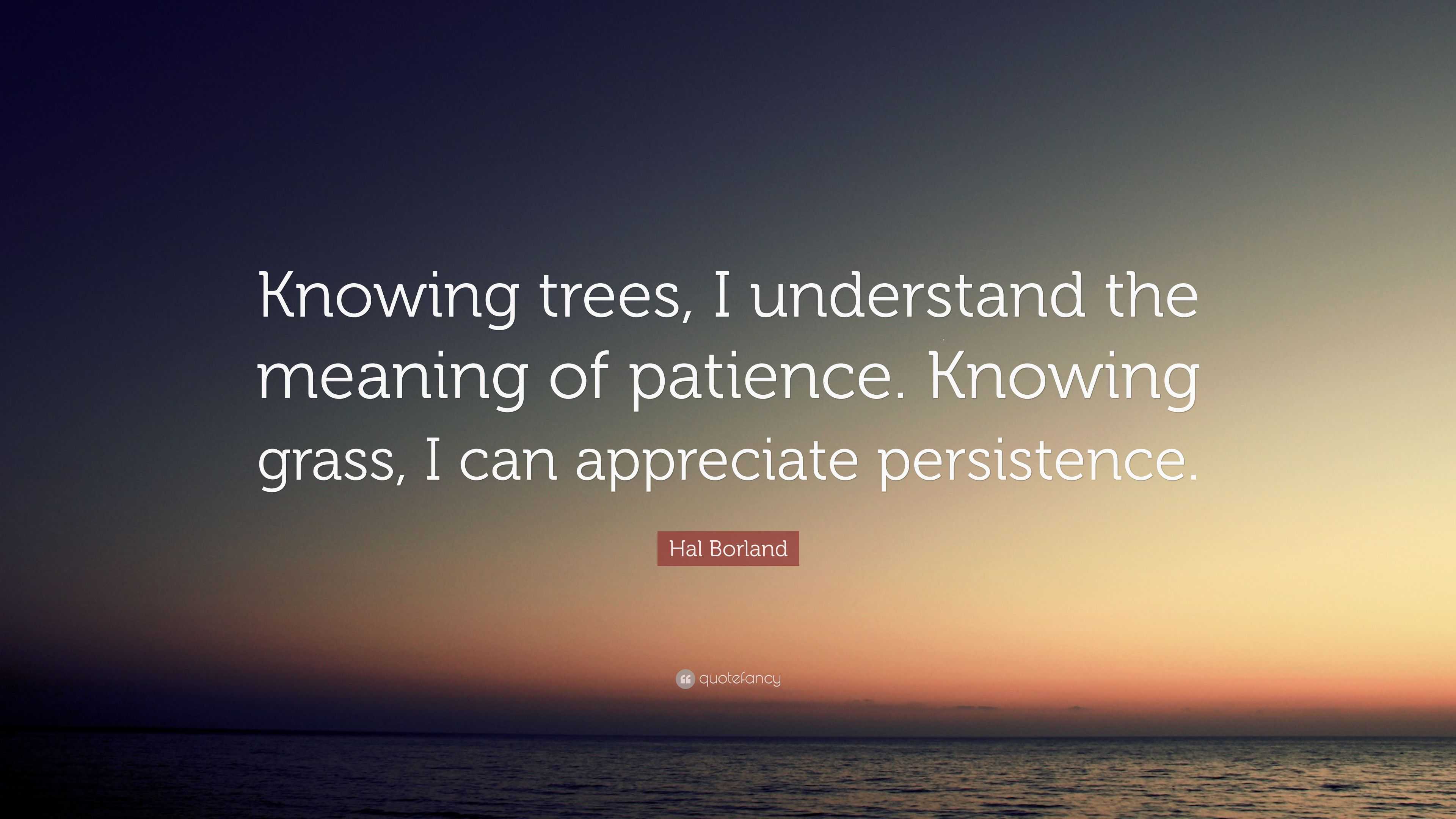 Hal Borland Quote: “Knowing trees, I understand the meaning of patience ...