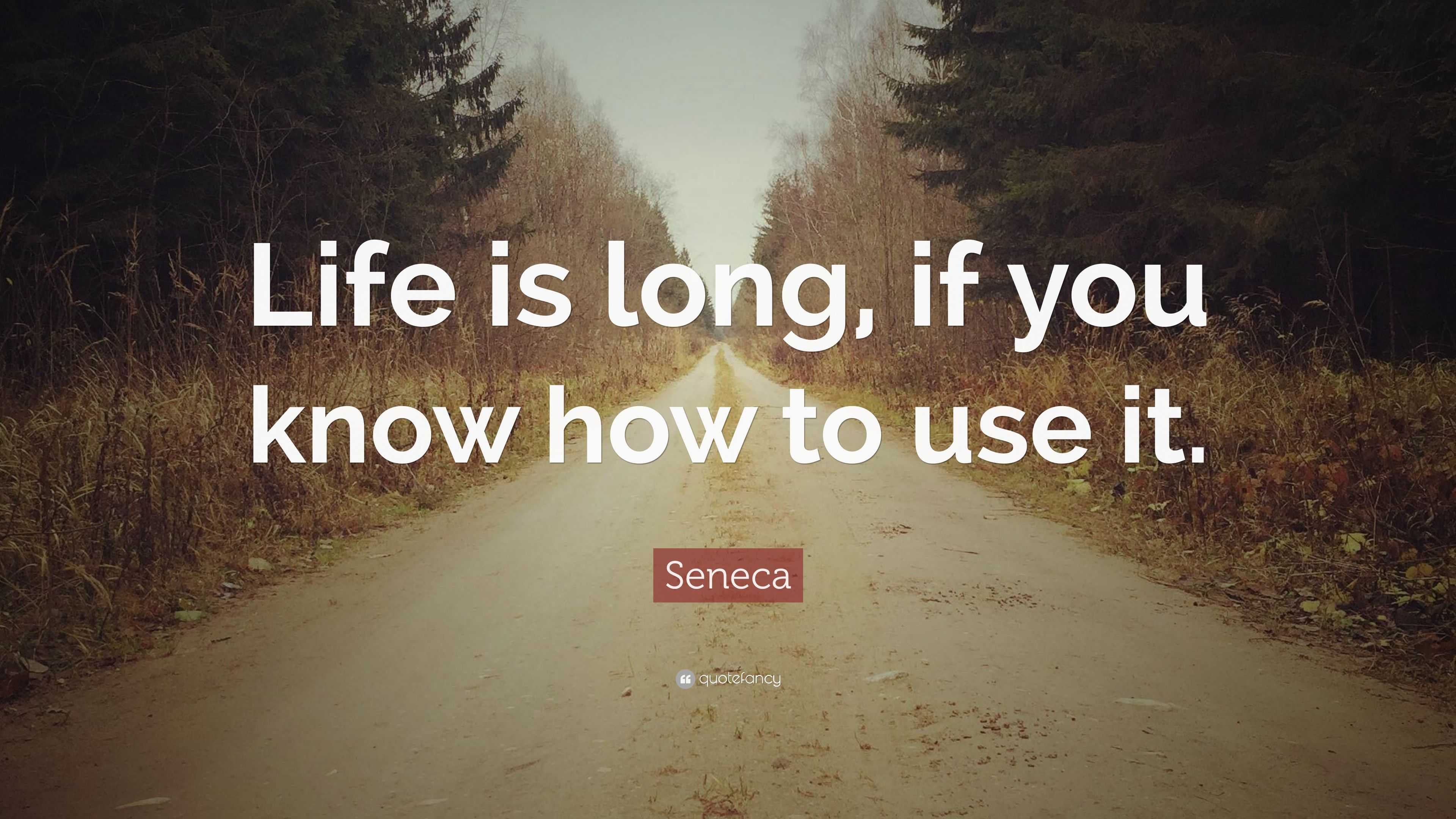 Seneca Quote: “Life is long, if you know how to use it.”