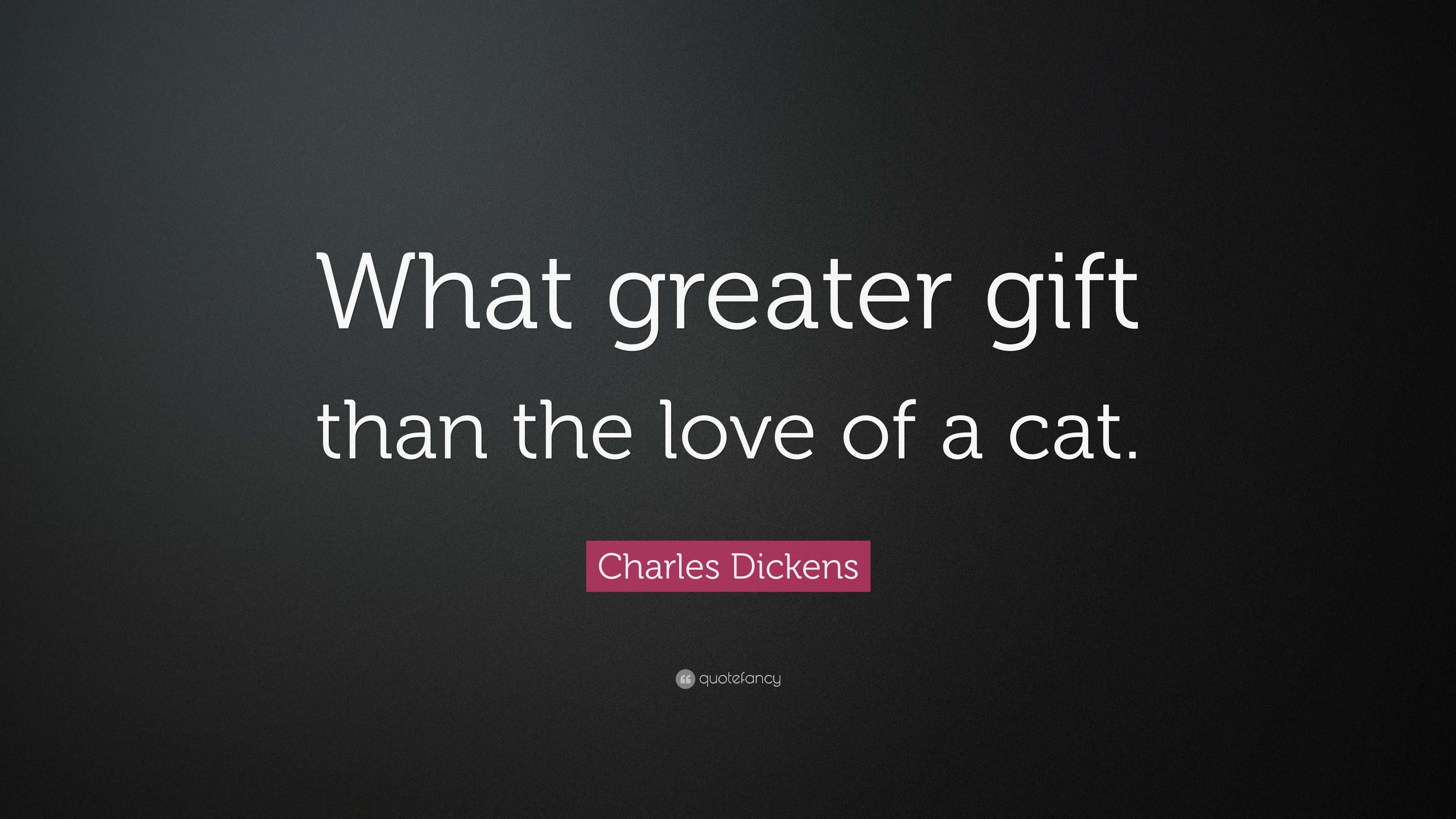 Charles Dickens Quote What Greater Gift Than The Love Of A Cat