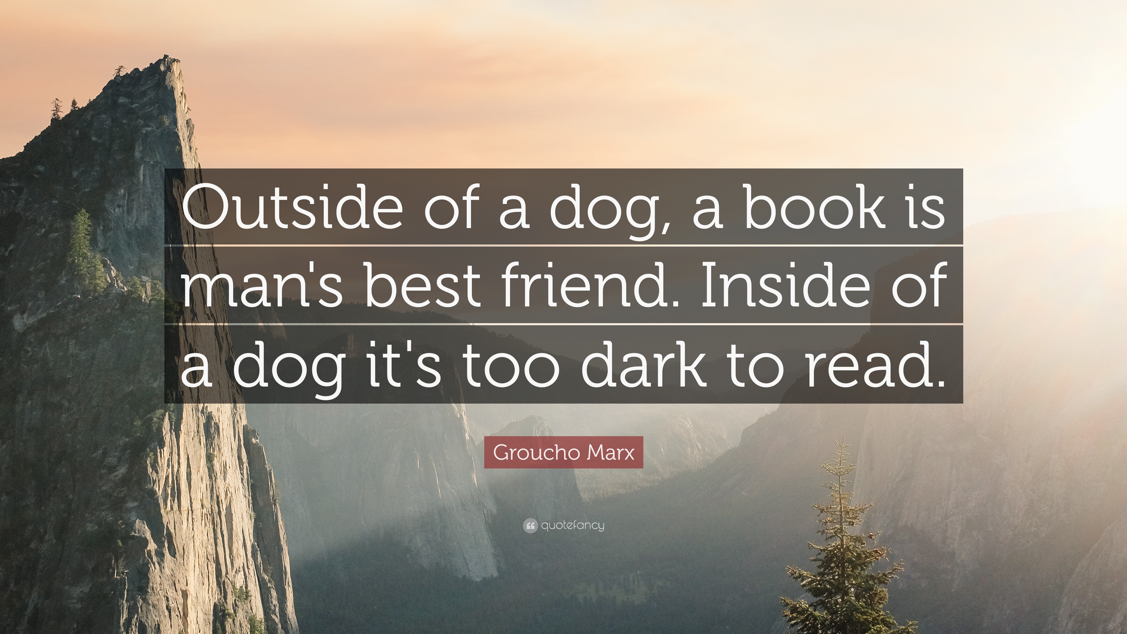 Groucho Marx Quote: “Outside of a dog, a book is man's best friend