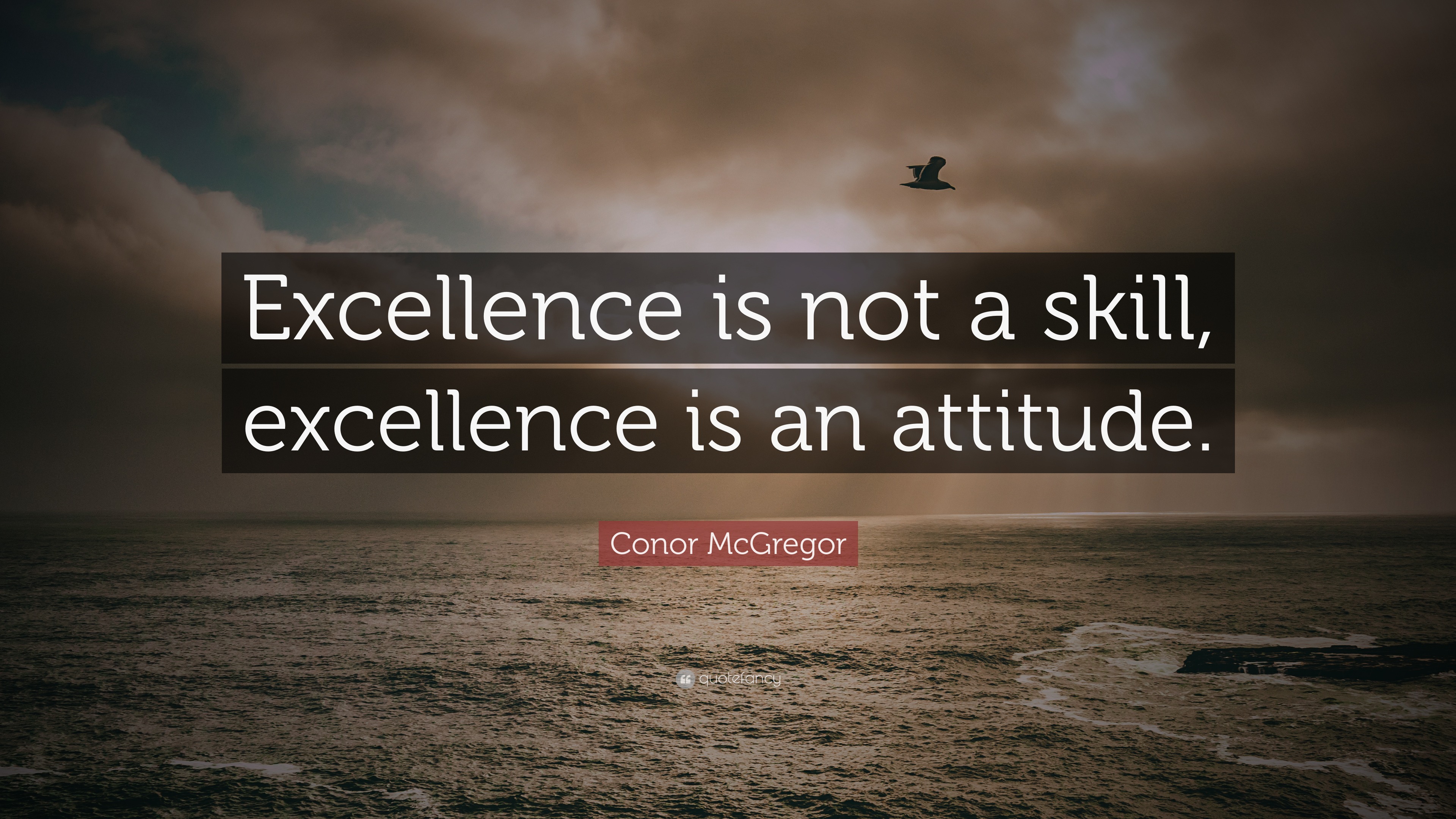 Conor McGregor Quote: “Excellence is not a skill, excellence is an ...