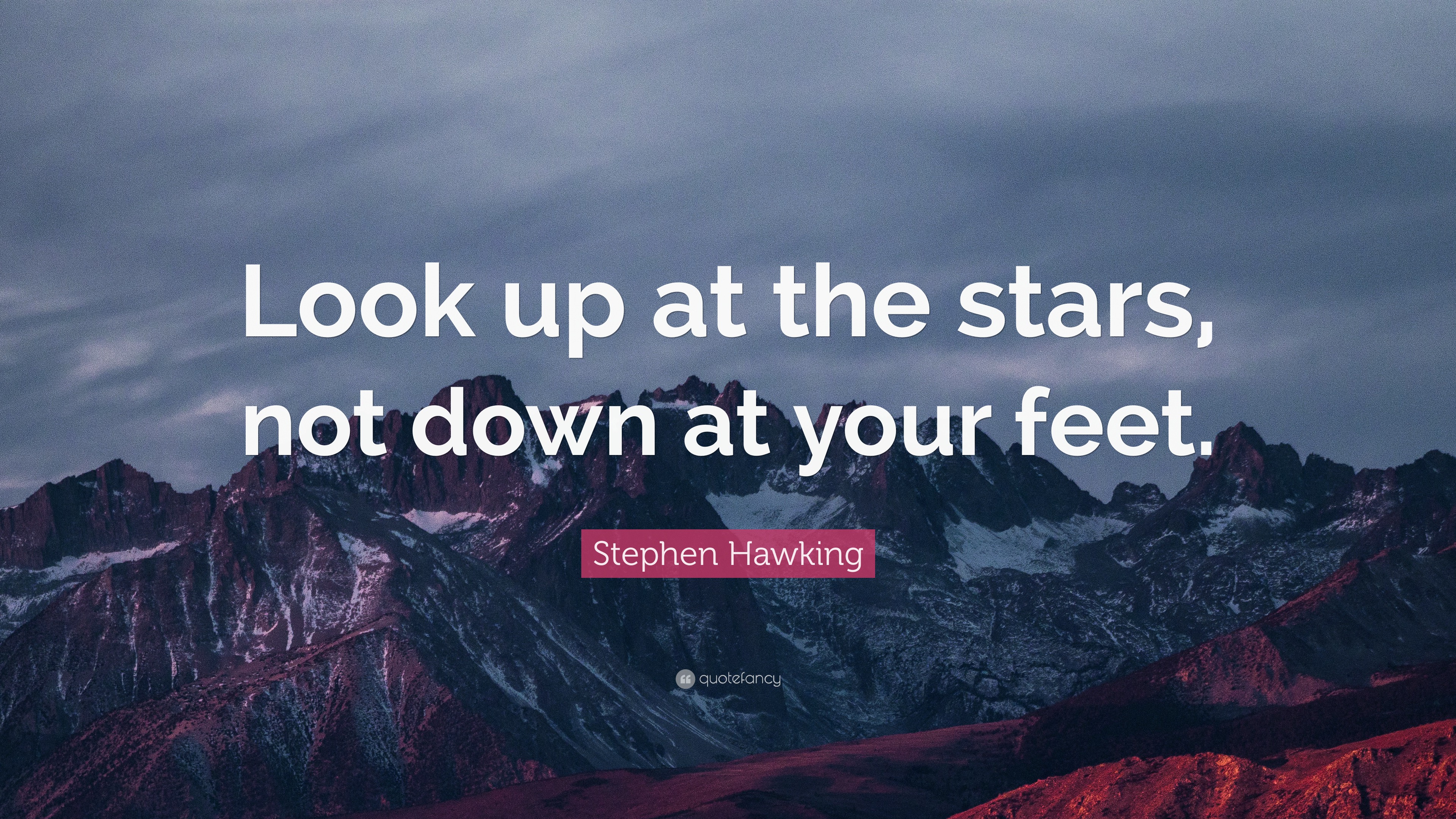 Stephen Hawking Quote: 