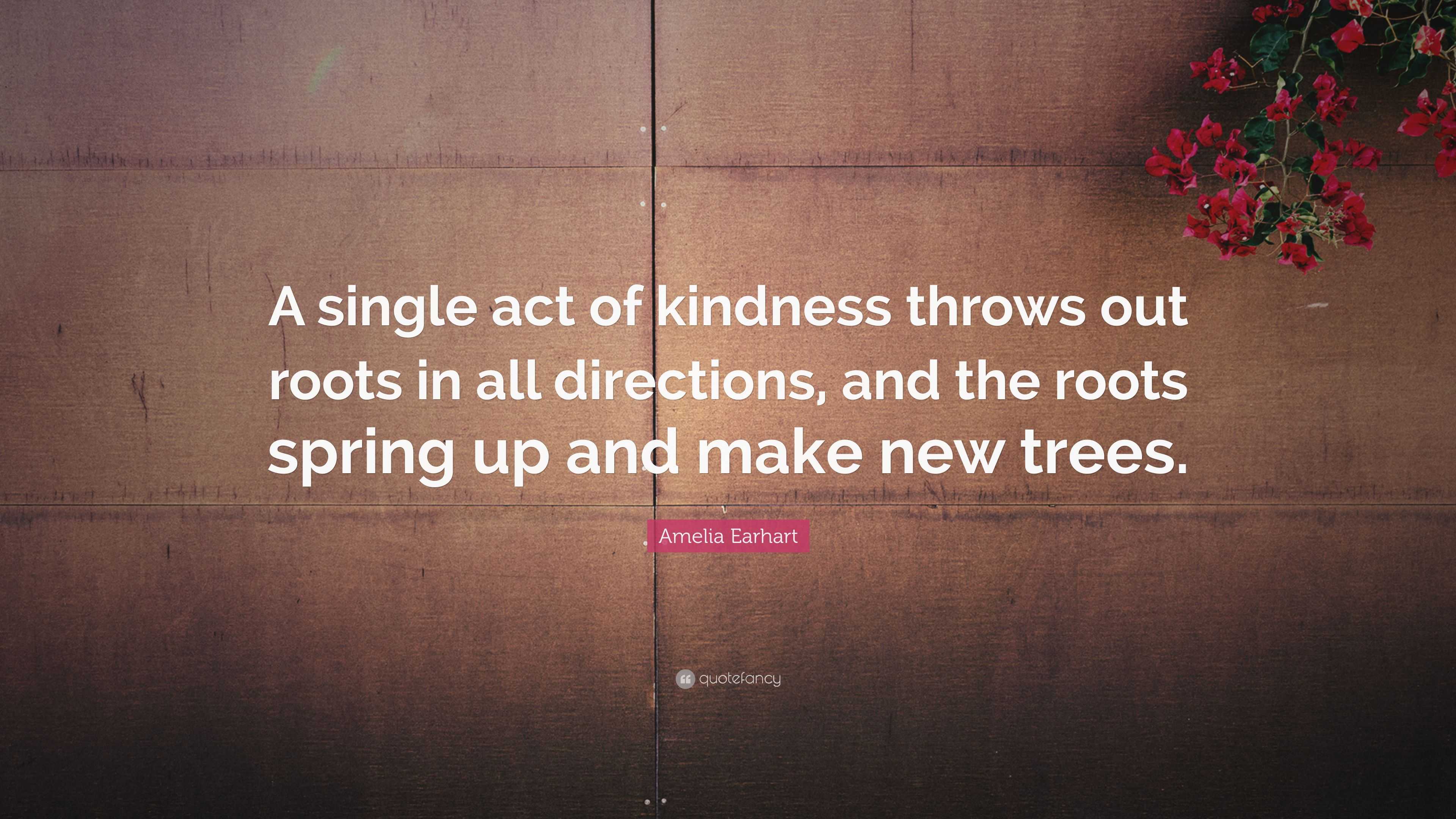 Amelia Earhart Quote: “A single act of kindness throws out roots in all