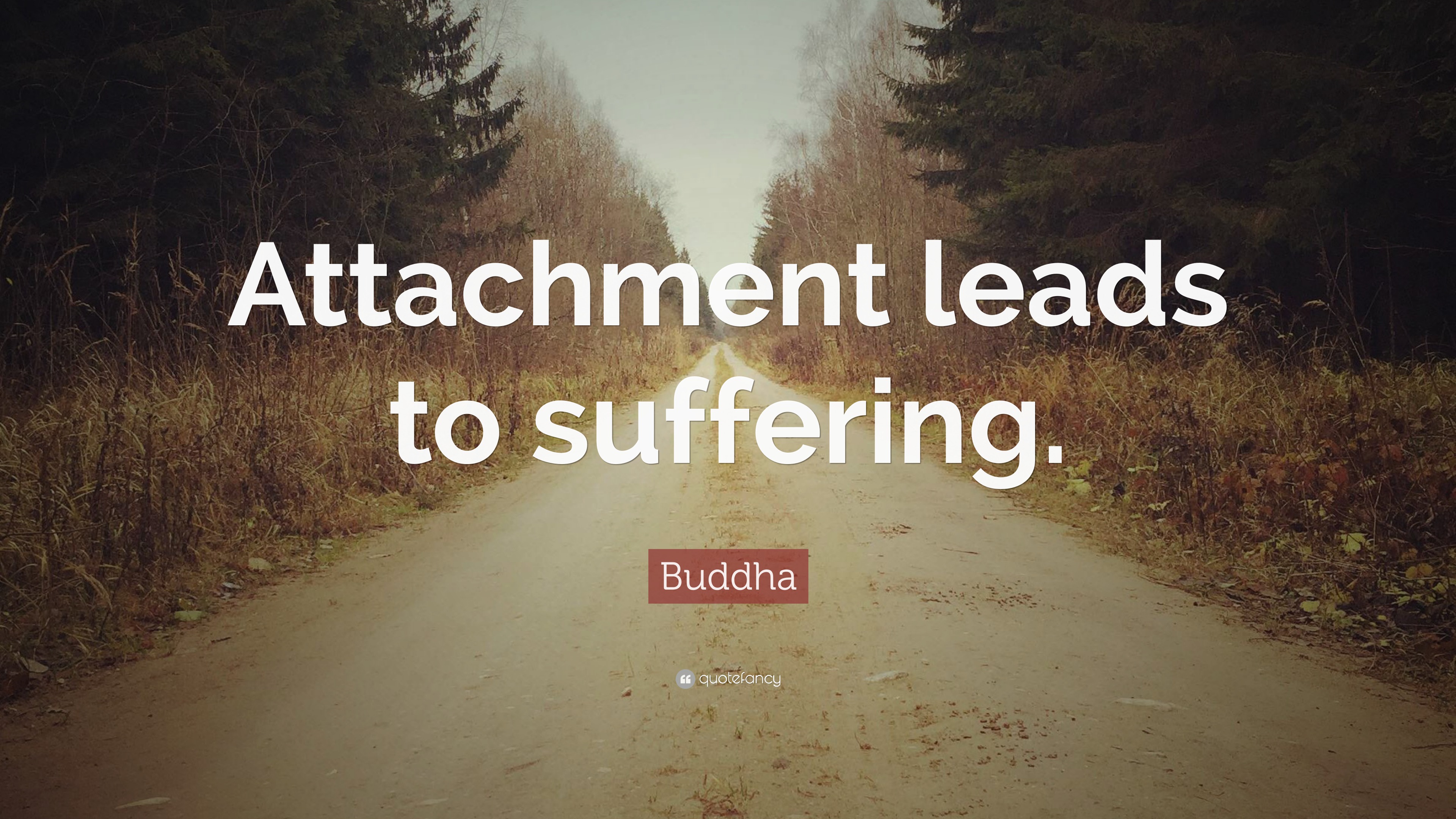 Buddha Quote: “Attachment leads to suffering.” (17 wallpapers) - Quotefancy