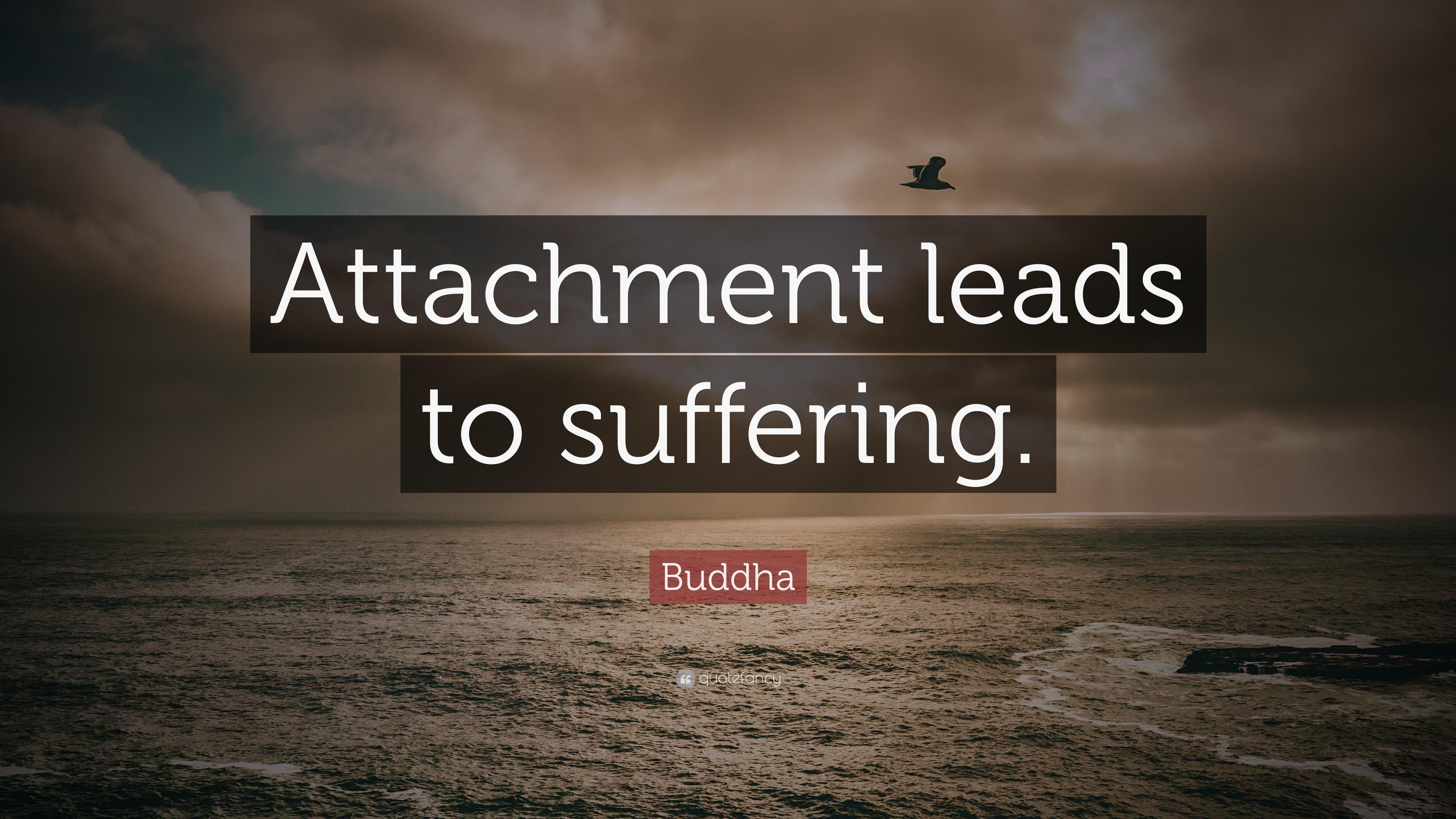 Buddha Quote: "Attachment leads to suffering." (17 wallpapers) - Quotefancy