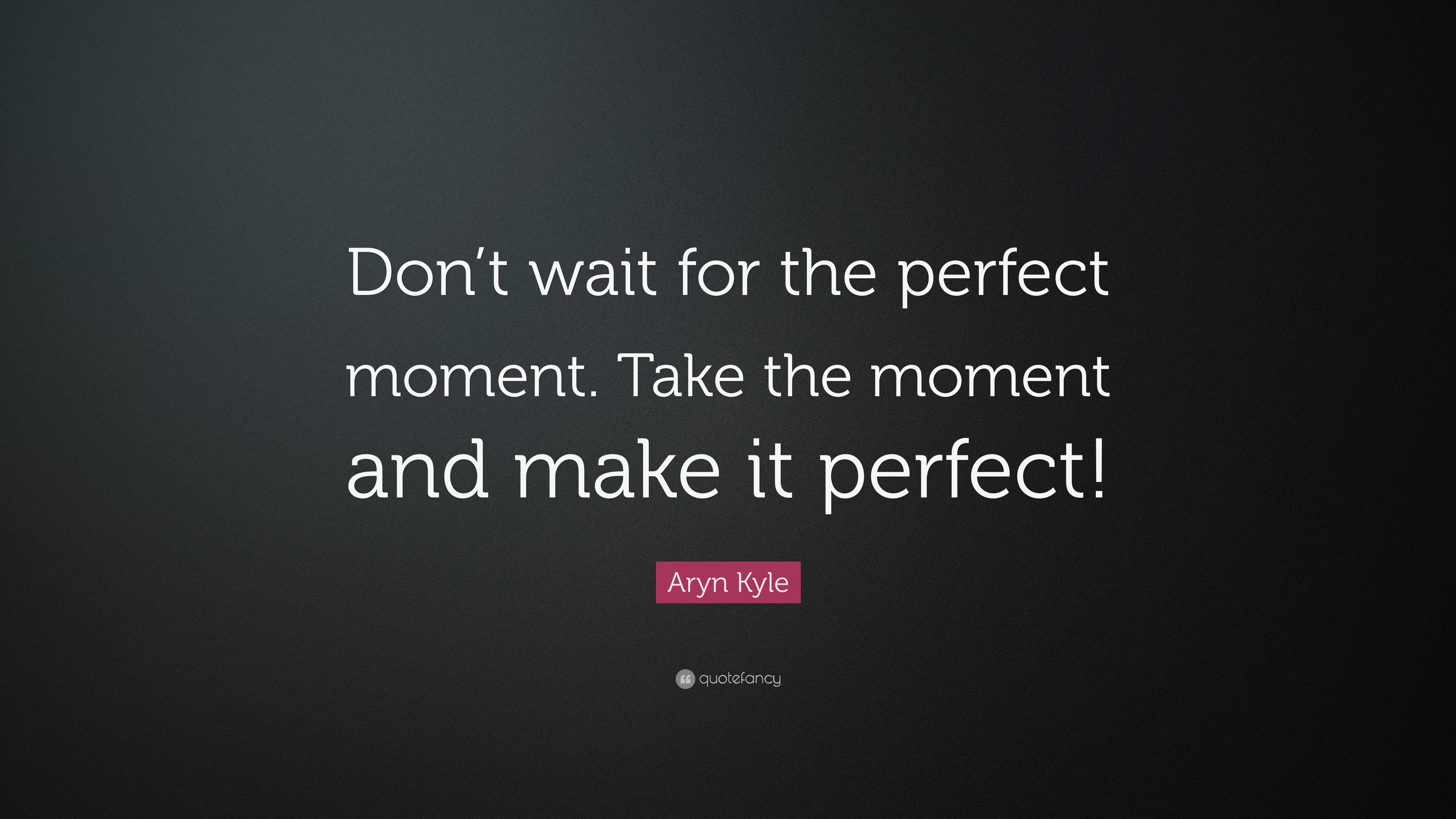 Aryn Kyle Quote: “Don’t wait for the perfect moment. Take the moment ...