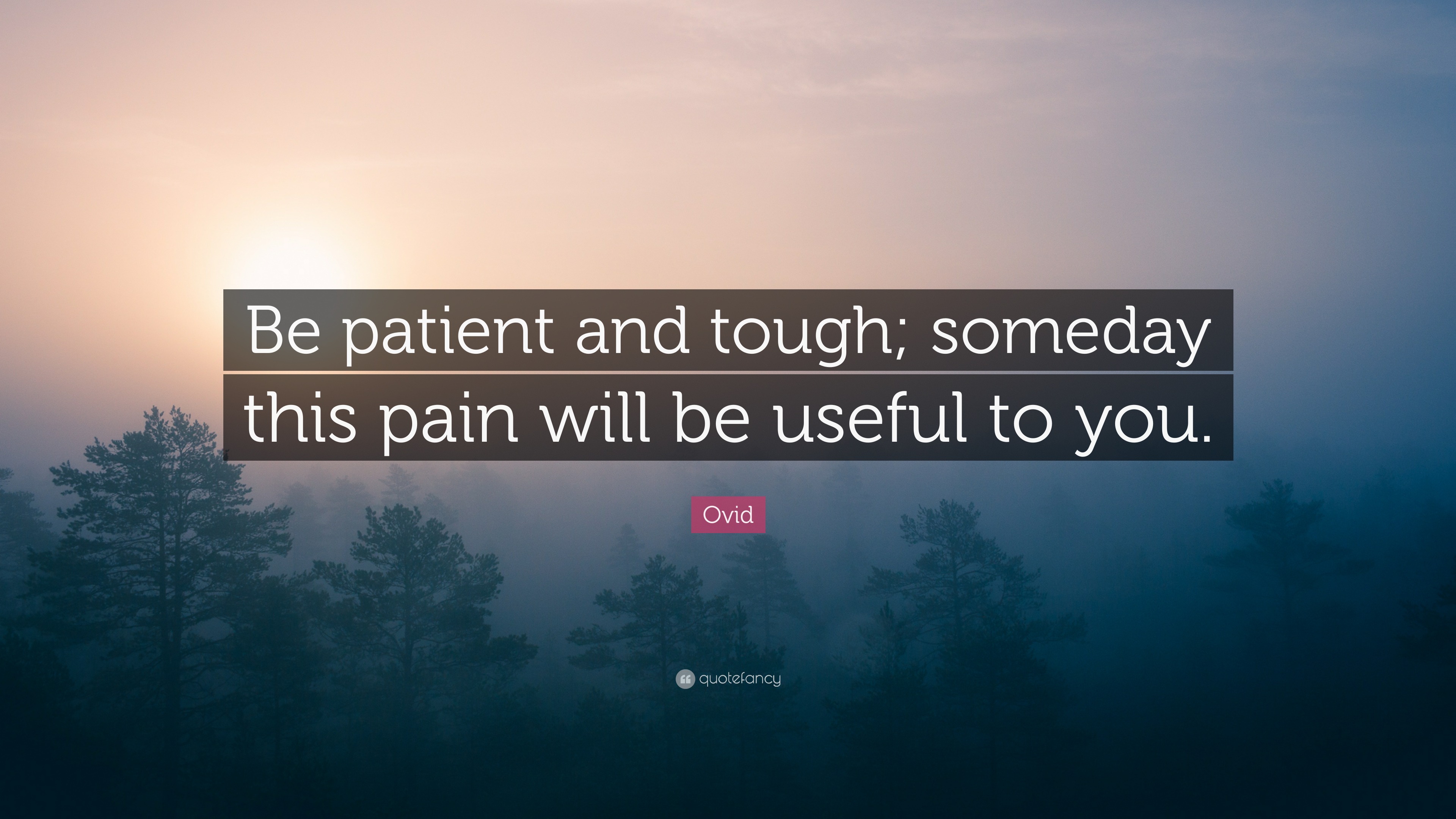 Someday The Pain Will Be Useful To You