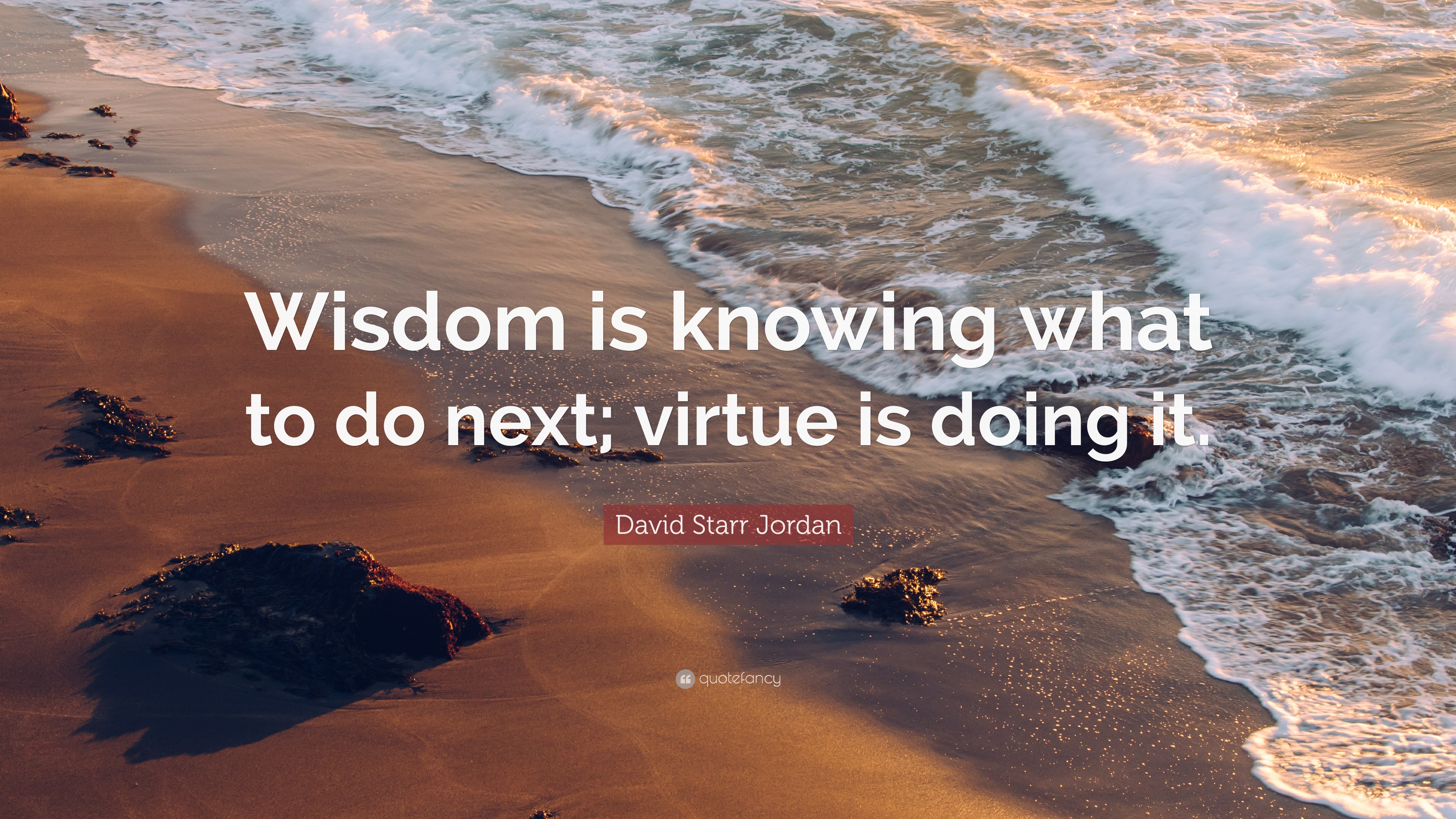 David Starr Jordan Quote: “Wisdom is knowing what to do next; virtue is ...