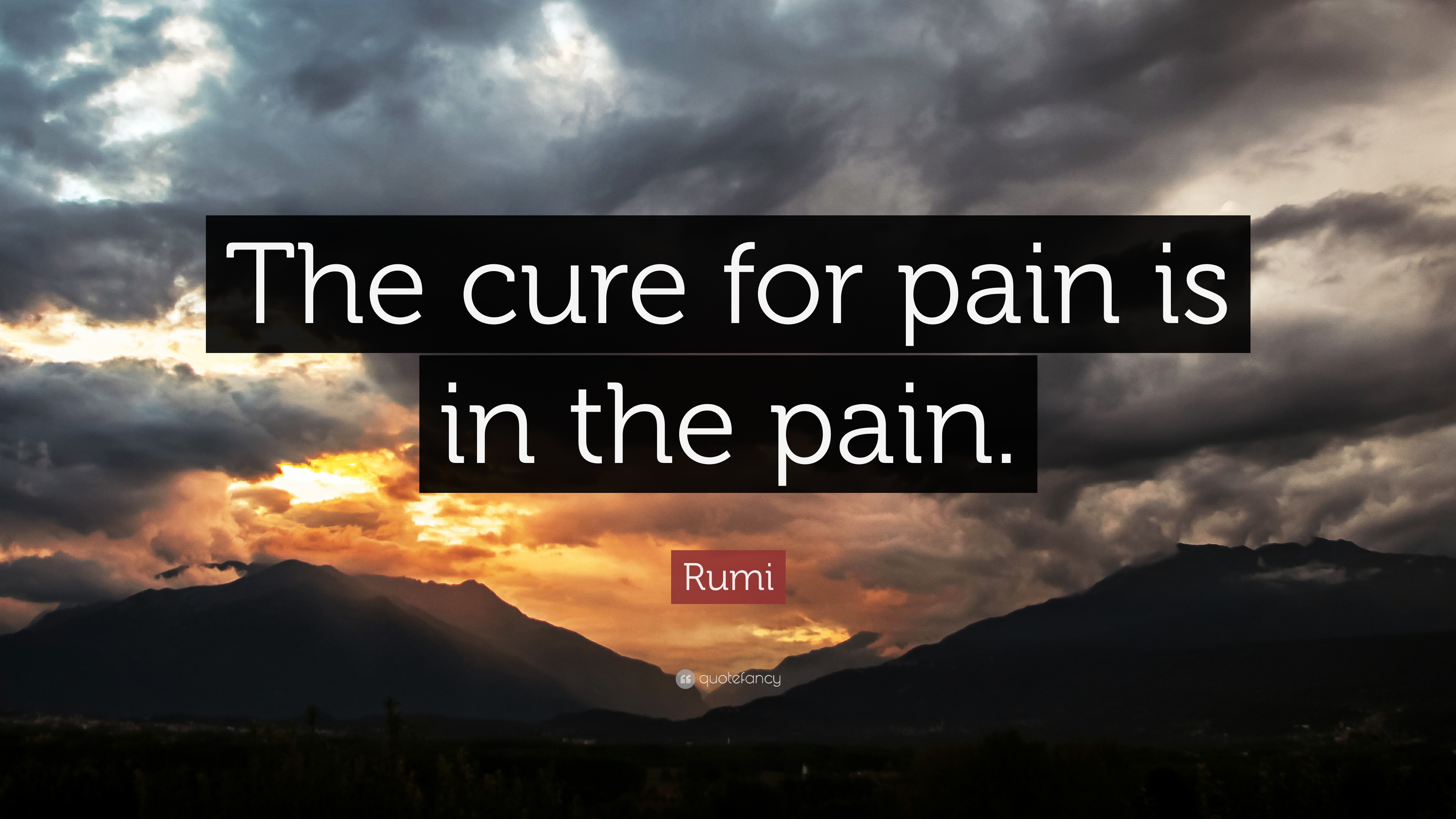 Rumi Quote: "The cure for pain is in the pain." (12 ...