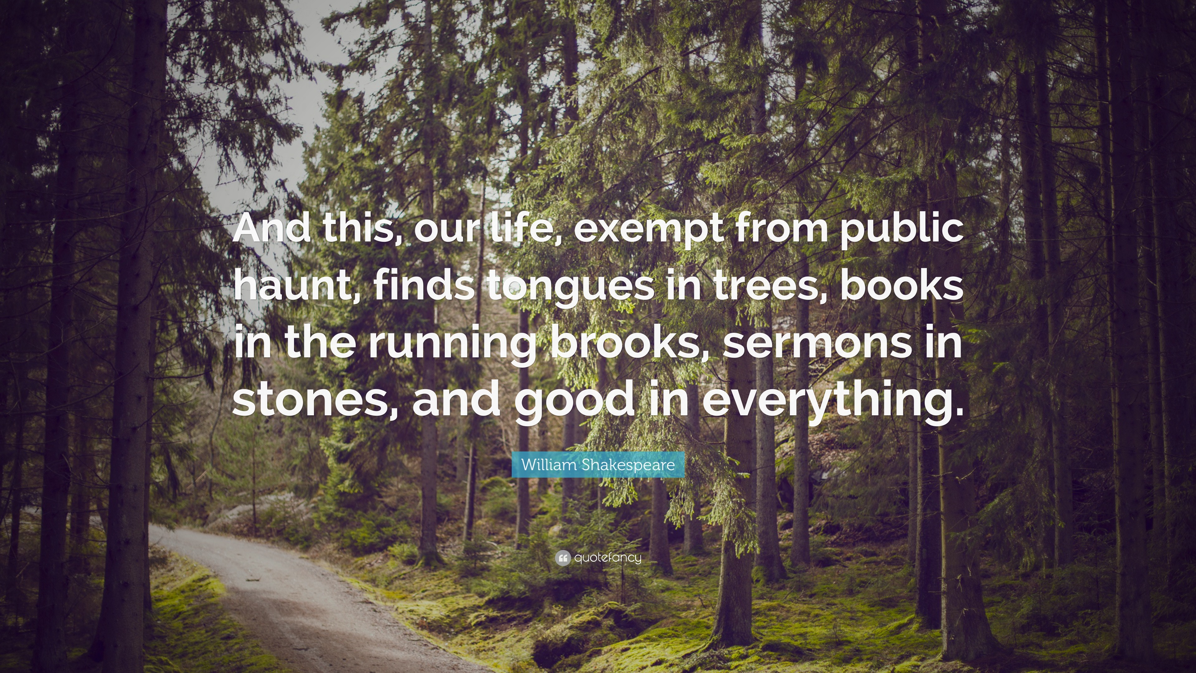 William Shakespeare Quote: “And this, our life, exempt from public