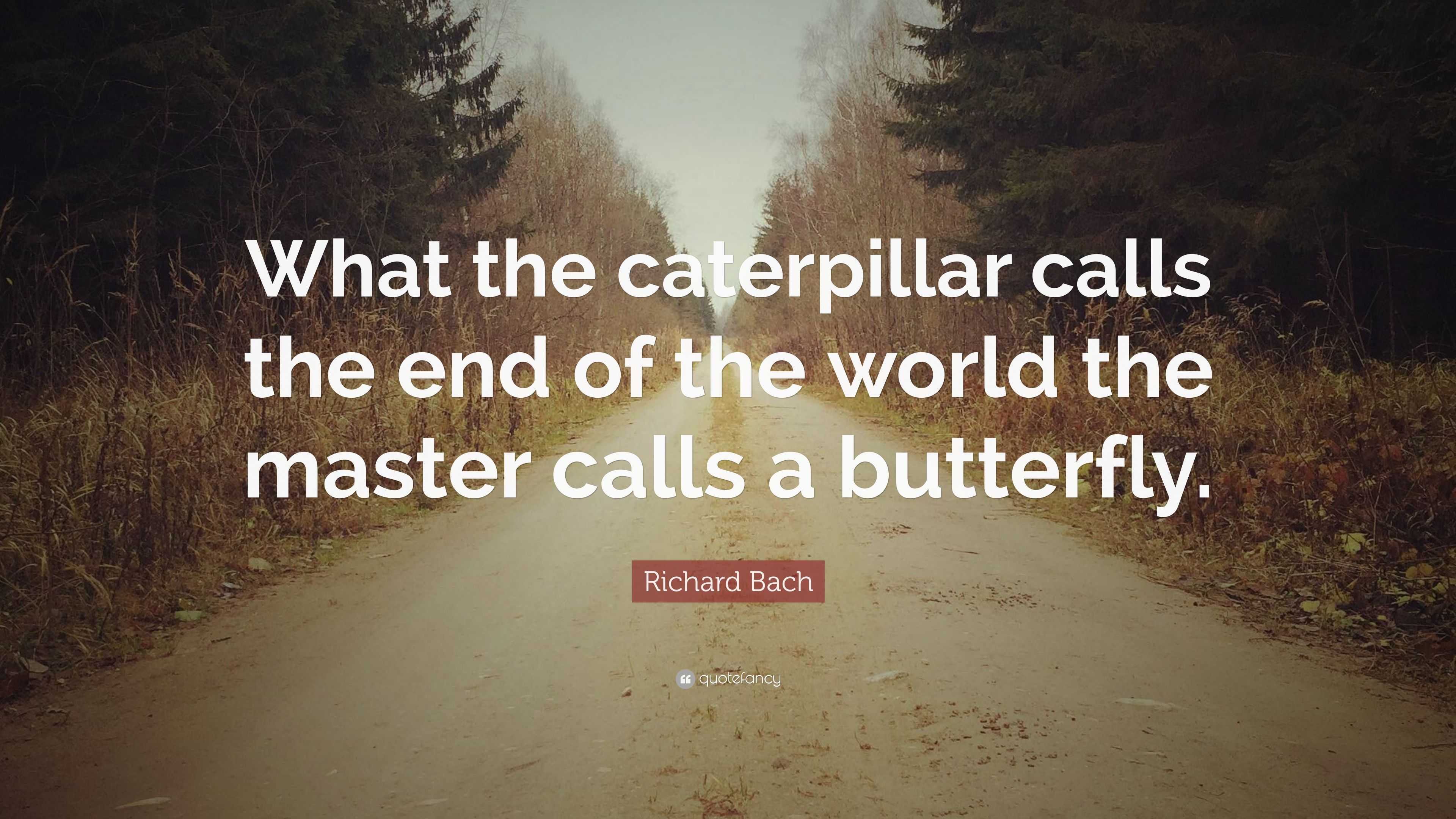 Richard Bach Quote: “What the caterpillar calls the end of the world ...