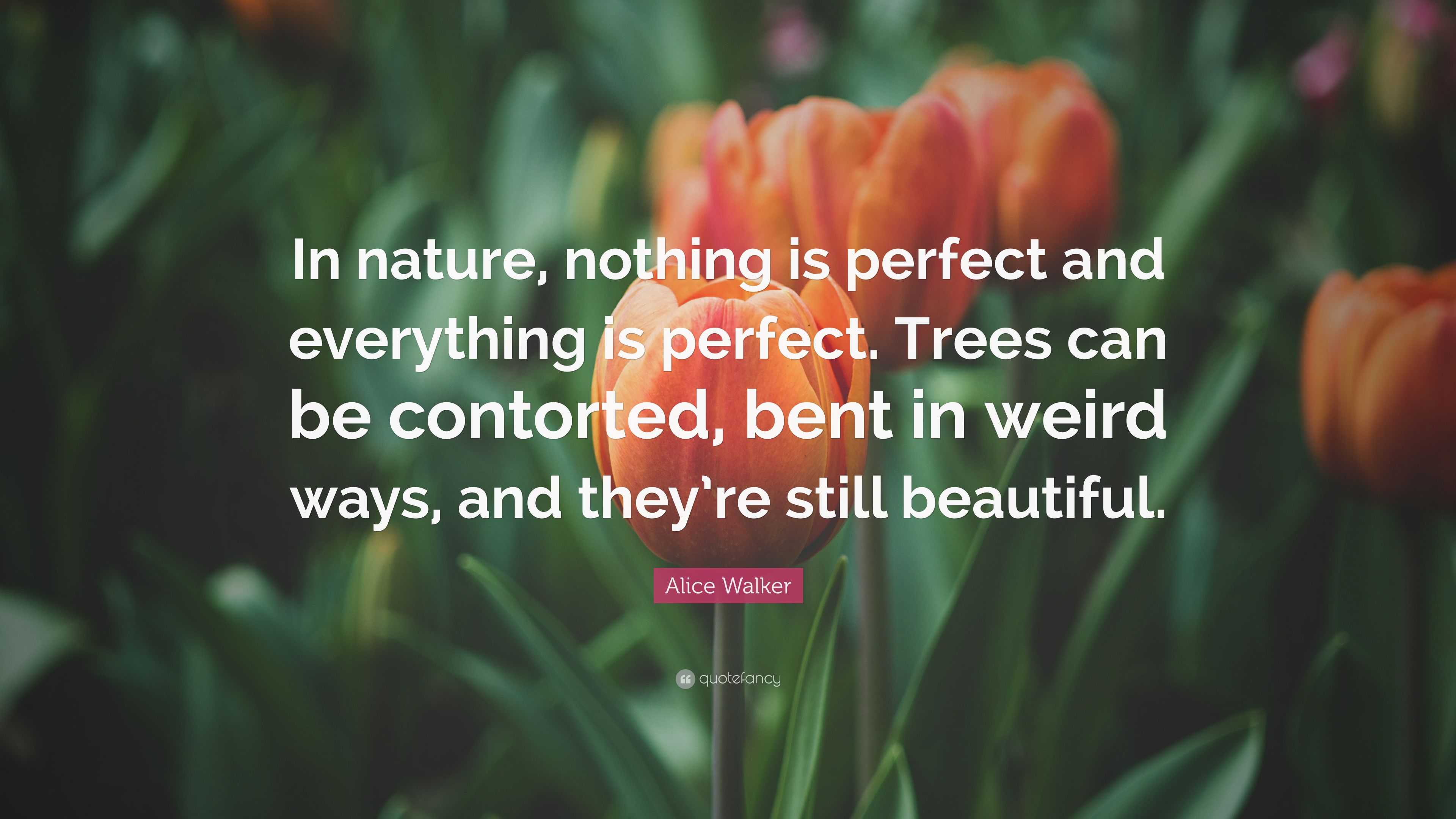 Alice Walker Quote: “In nature, nothing is perfect and everything is ...