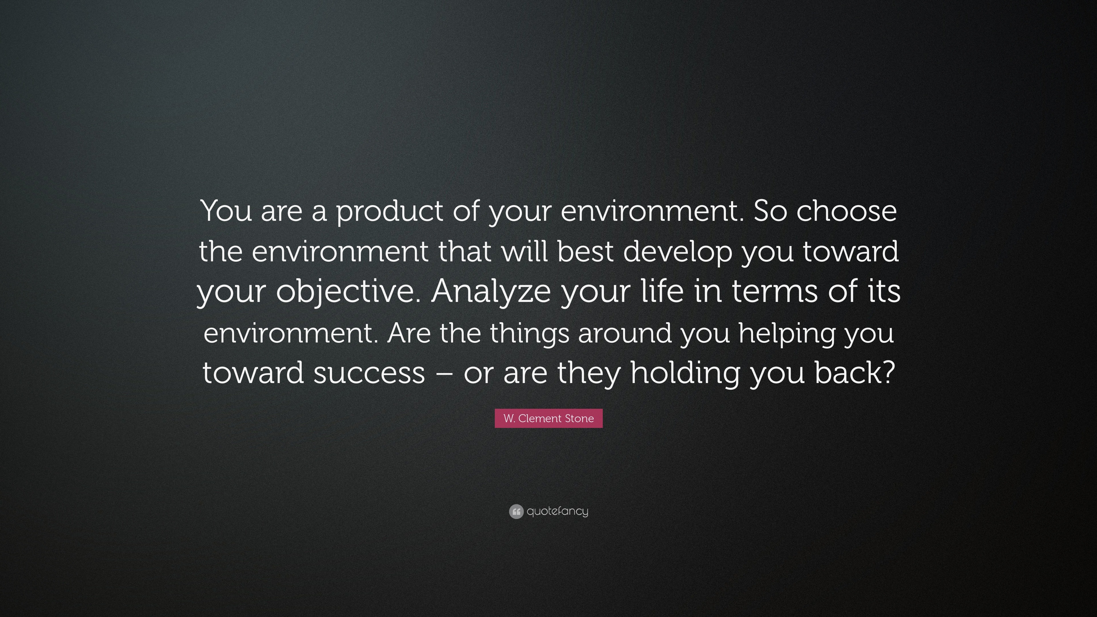 20347 W Clement Stone Quote You are a product of your environment So