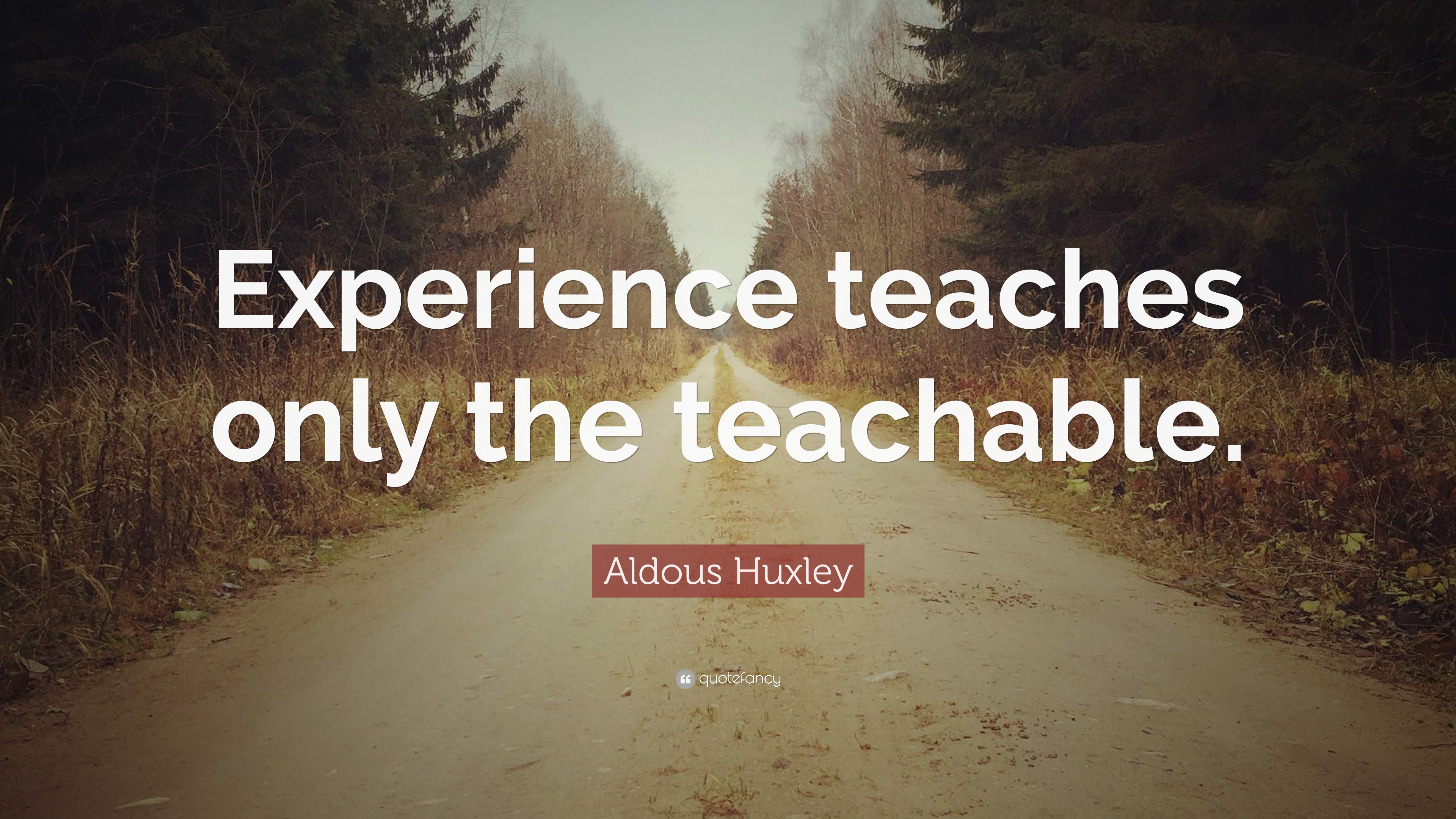 Aldous Huxley Quote: “Experience teaches only the teachable.”