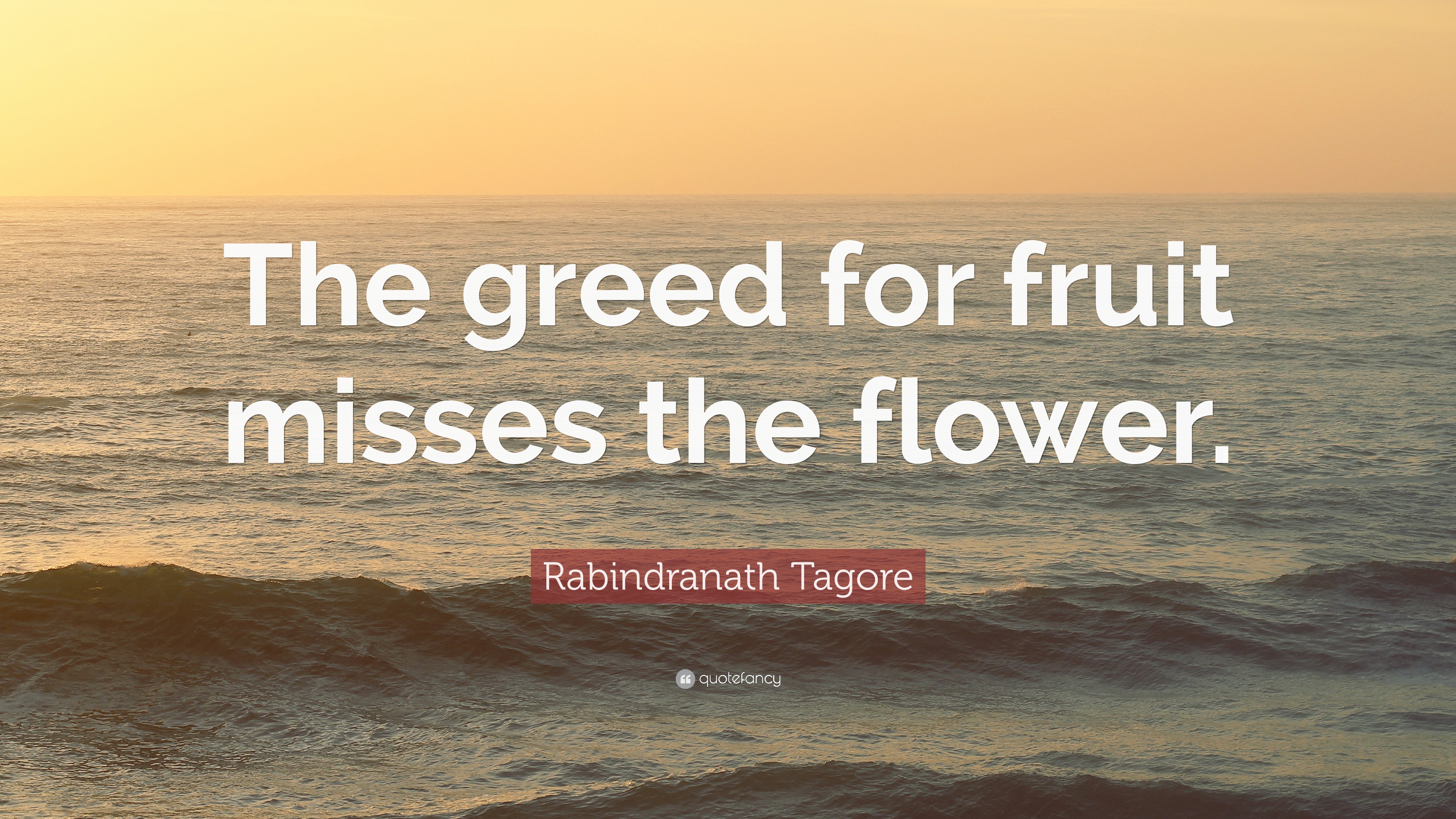 Rabindranath Tagore Quote “The greed for fruit misses the flower.”