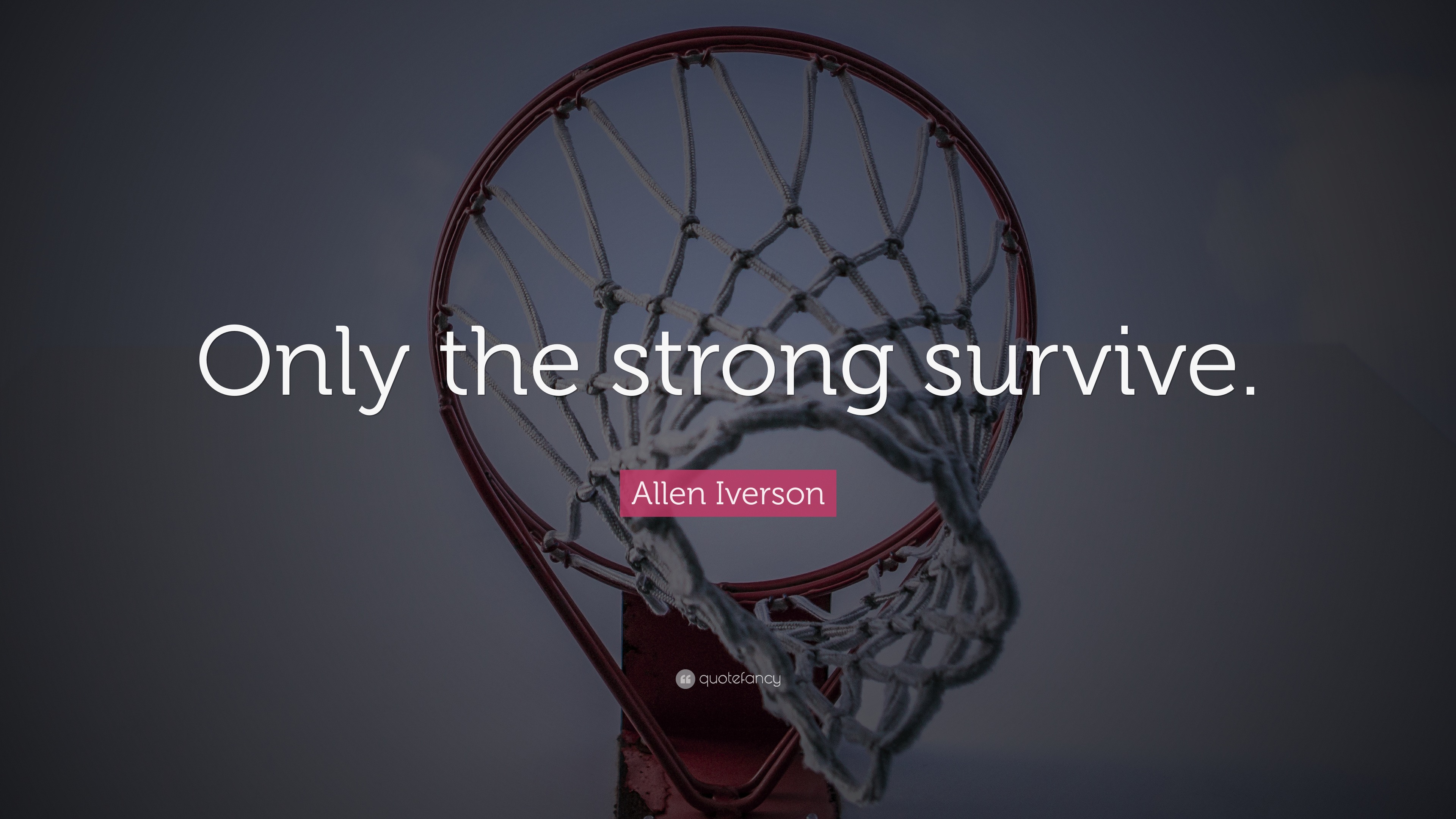 Allen Iverson Quote Only The Strong Survive 12