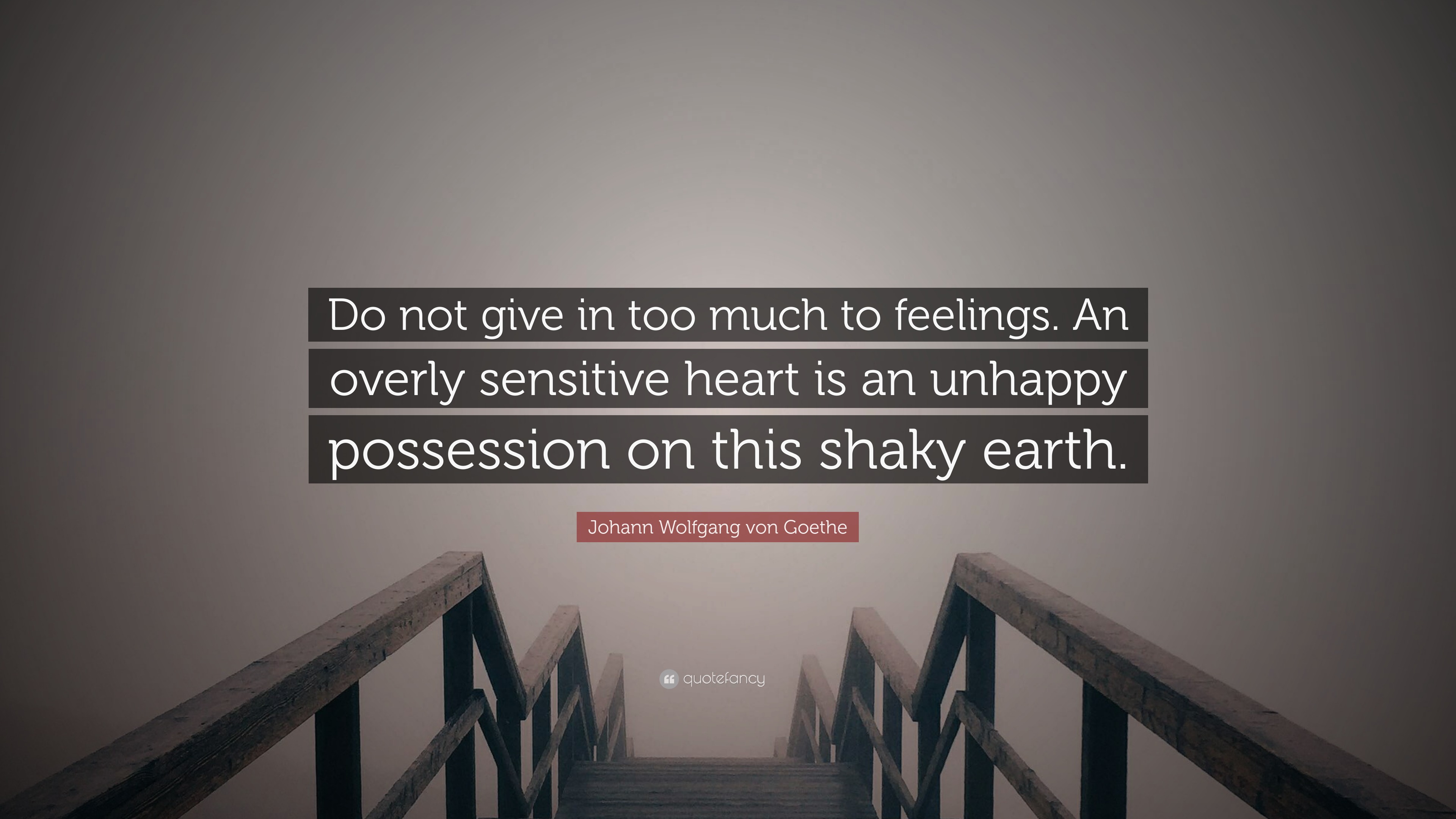 Johann Wolfgang von Goethe Quote: “Do not give in too much to feelings ...