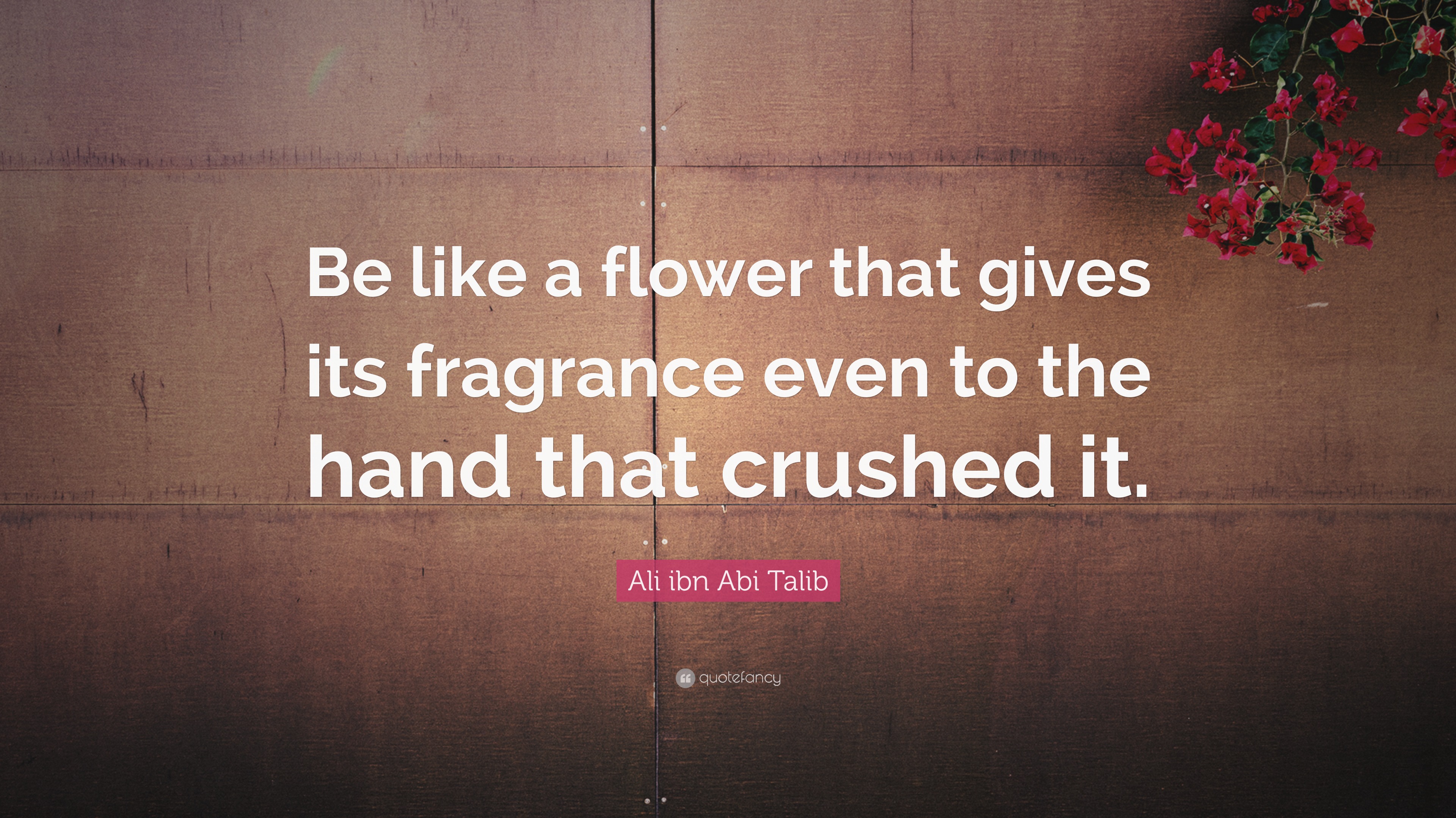 Ali Ibn Abi Talib Quote Be Like A Flower That Gives Its Fragrance Even To The Hand That Crushed It 12 Wallpapers Quotefancy