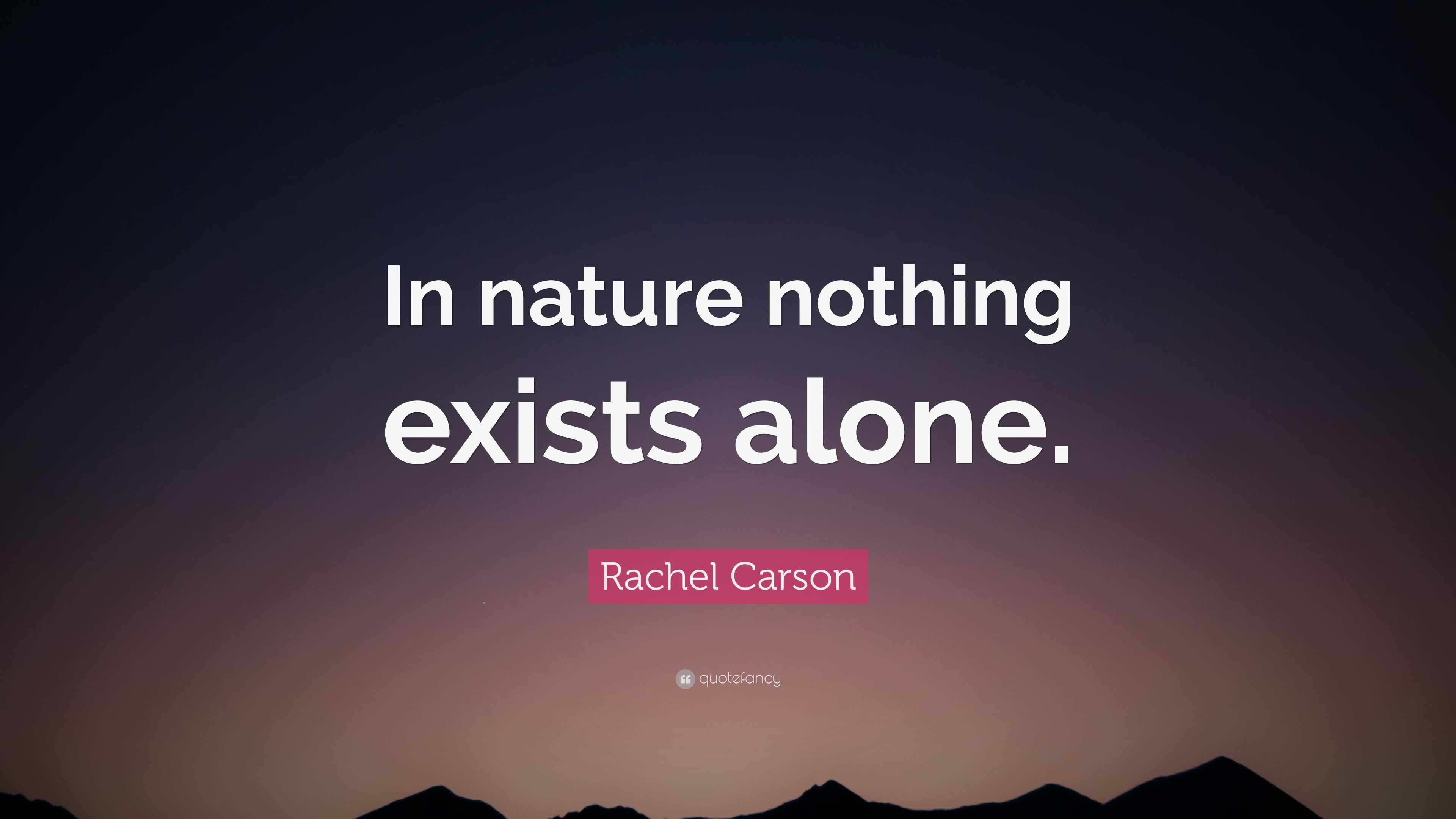 Rachel Carson Quote: “In nature nothing exists alone.”
