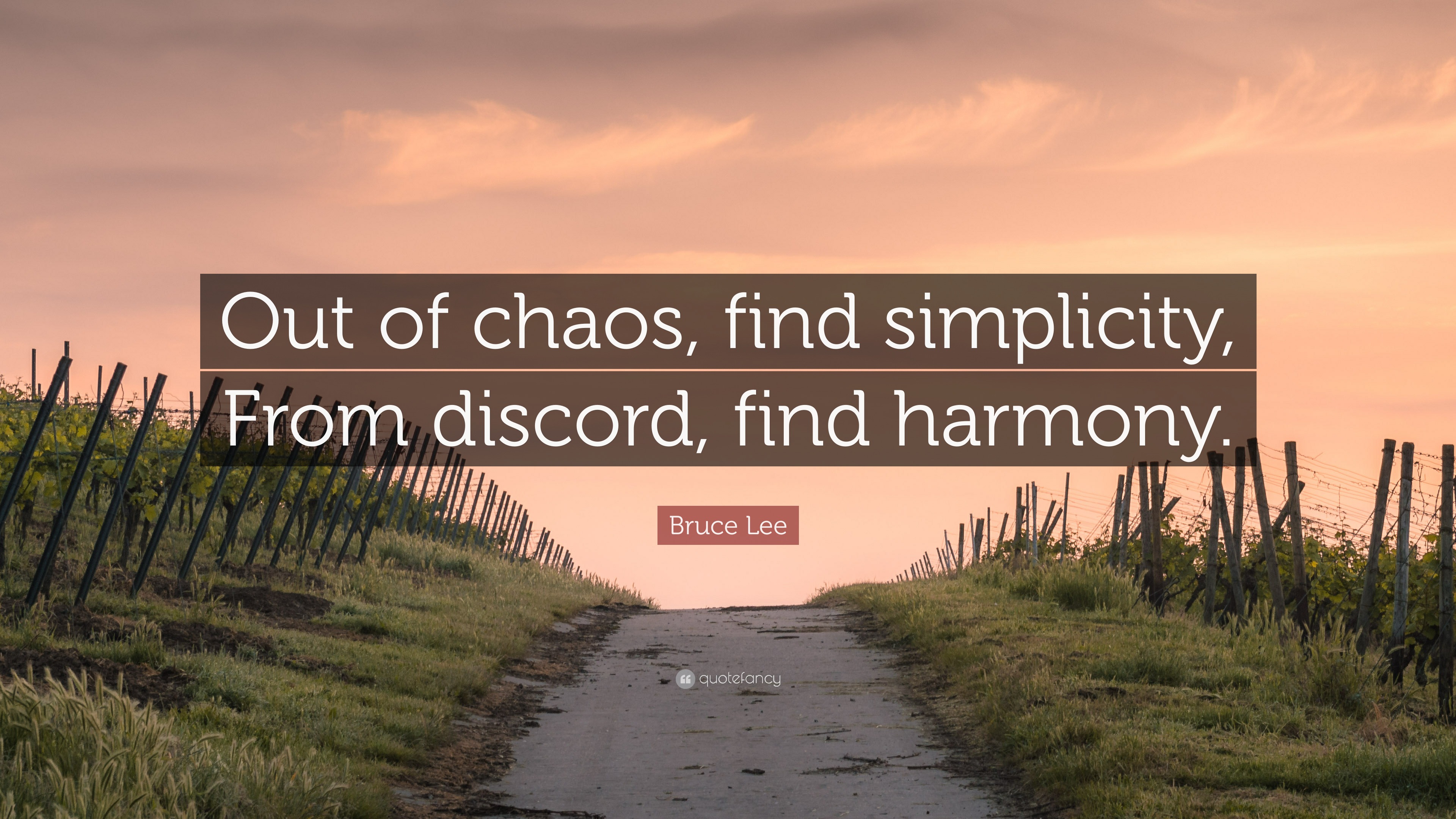 Bruce Lee Quote “Out of chaos, find simplicity, From discord, find