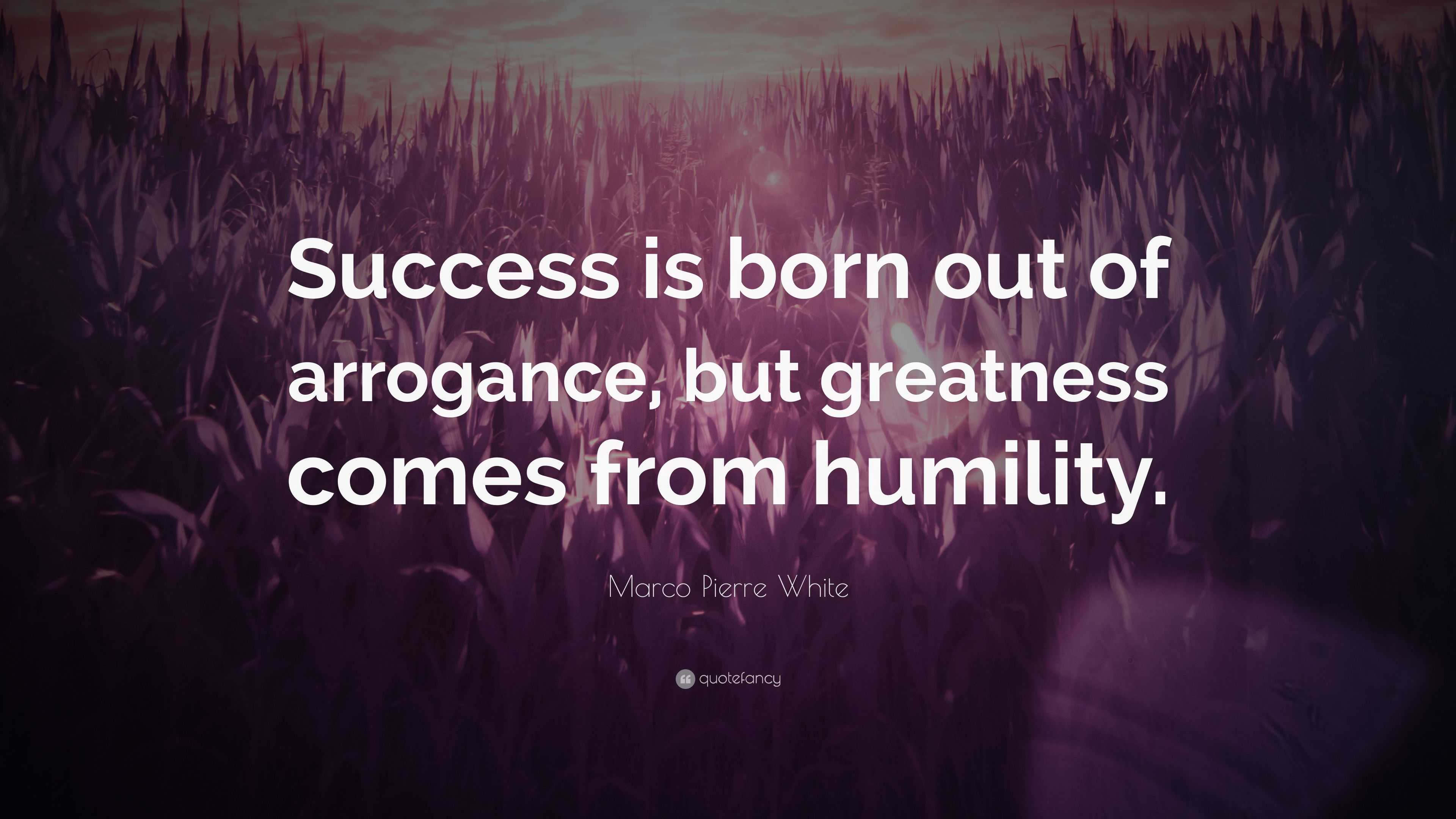 Marco Pierre White Quote: “Success is born out of arrogance, but ...