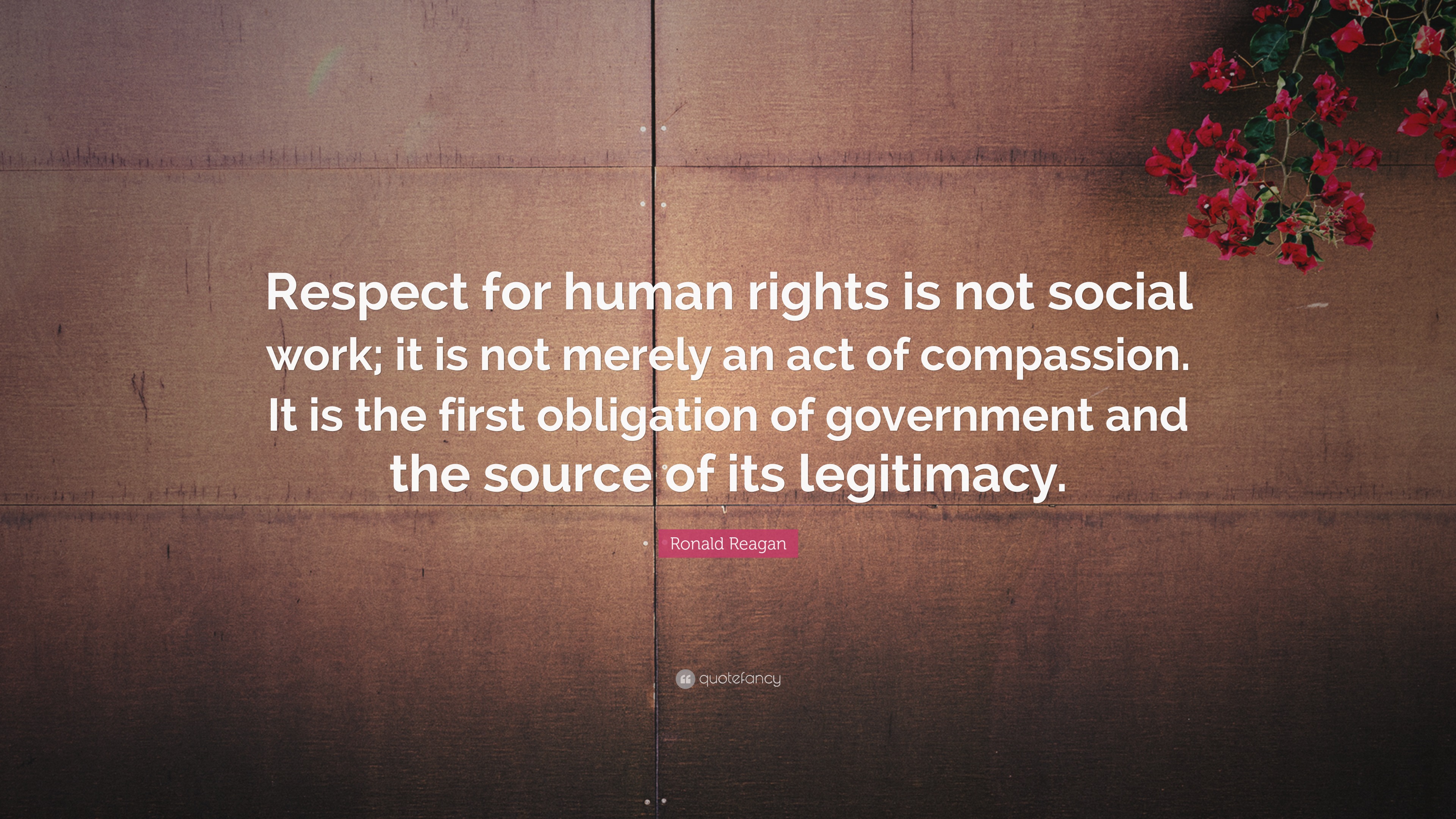 Ronald Reagan Quote Respect for human rights is not 