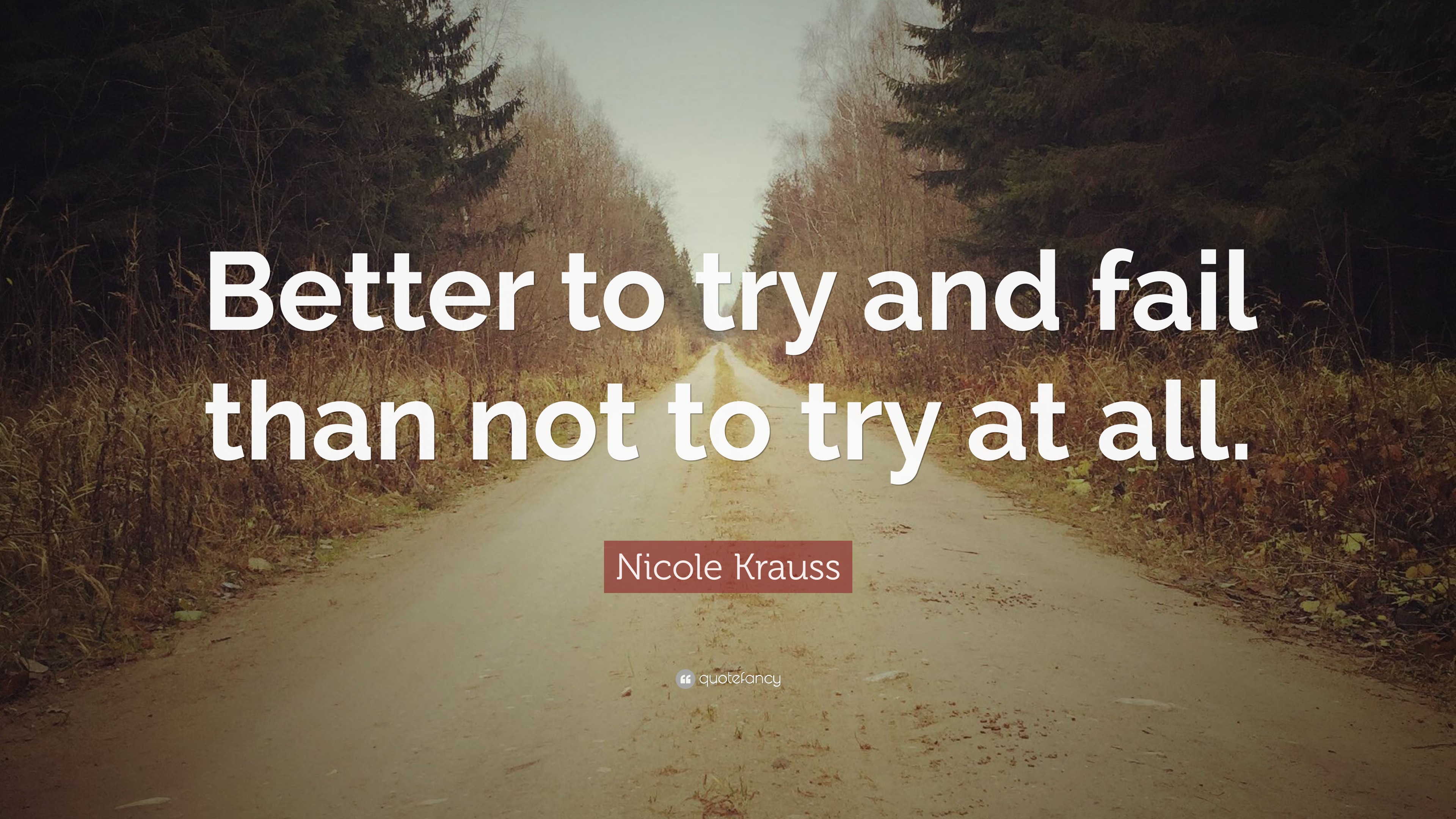 nicole-krauss-quote-better-to-try-and-fail-than-not-to-try-at-all