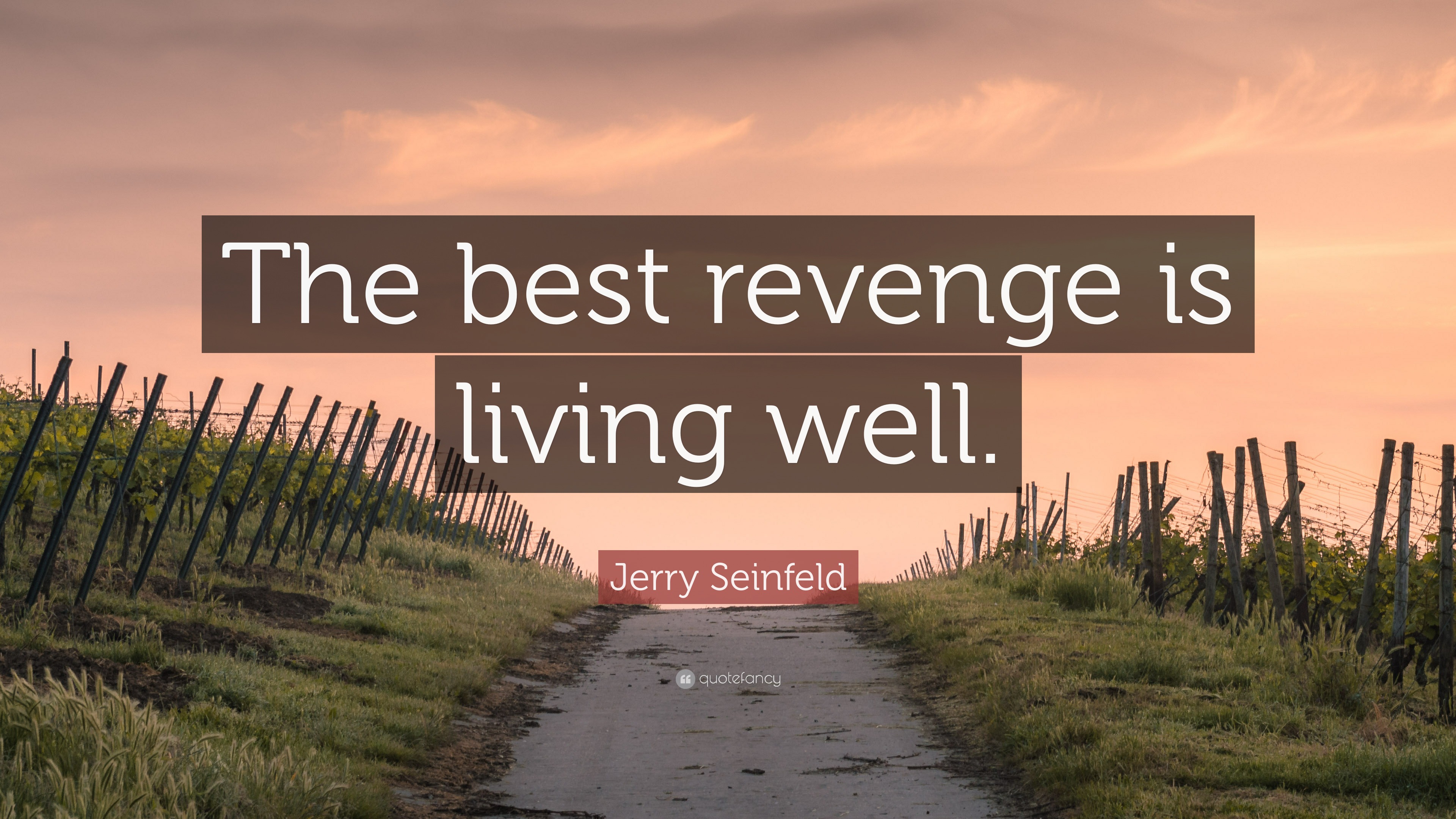 The Best Revenge Is Living Well Quote