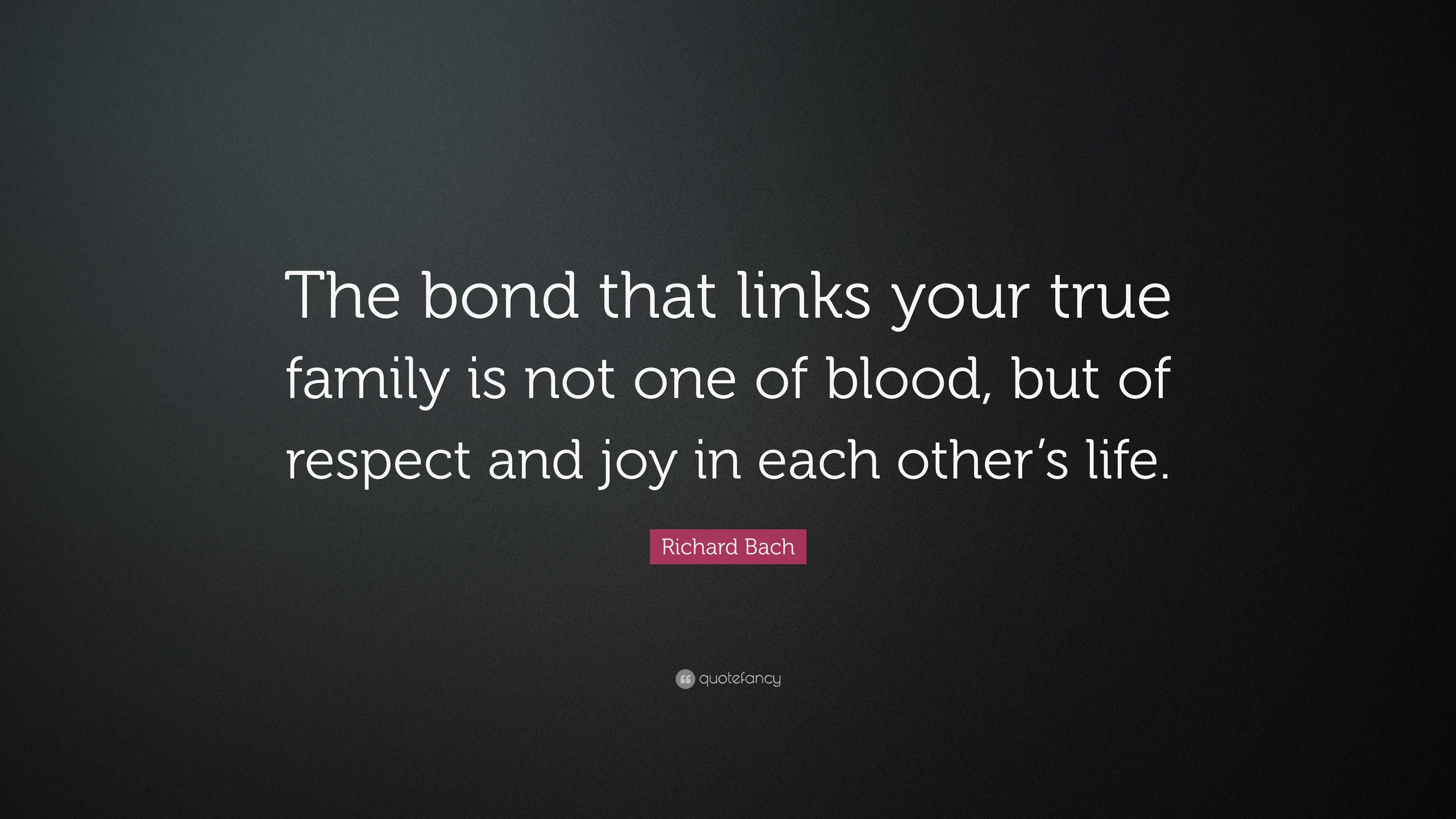 33-family-bonding-quotes-and-sayings-to-inspire-you-motivate-amaze-be