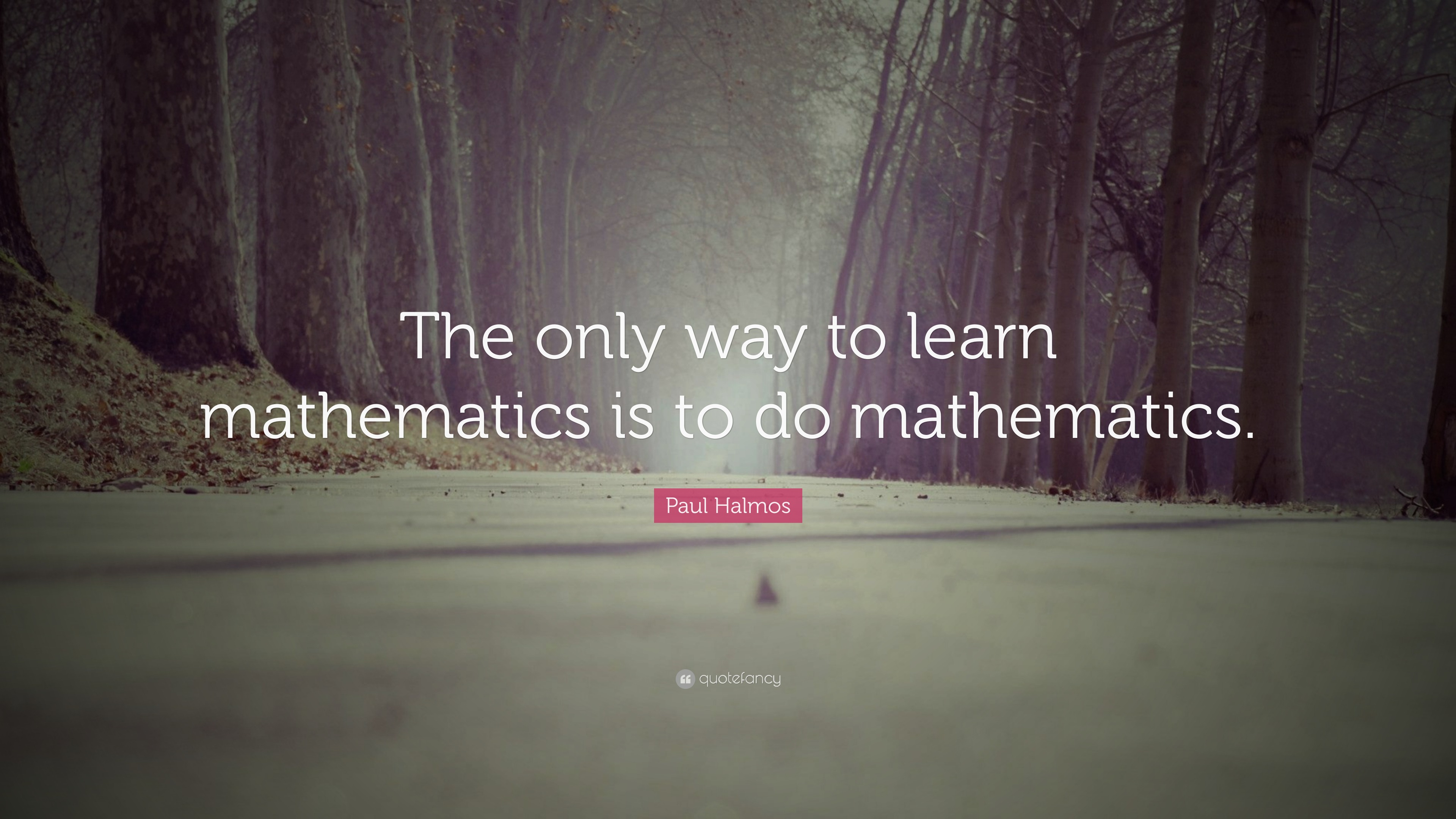 Paul Halmos Quote: “The only way to learn mathematics is to do ...