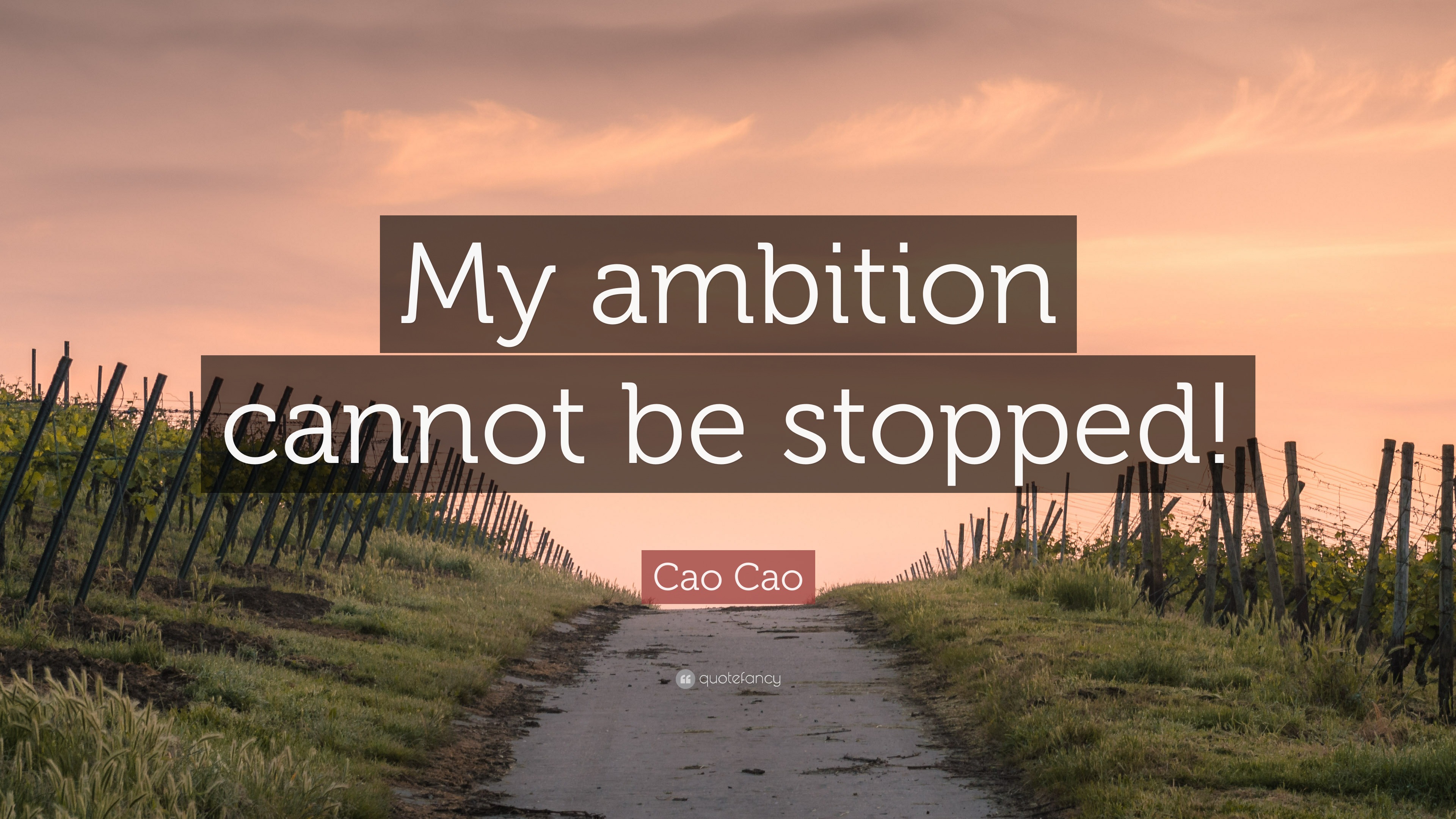 Cao Cao Quote: “My ambition cannot be stopped!”