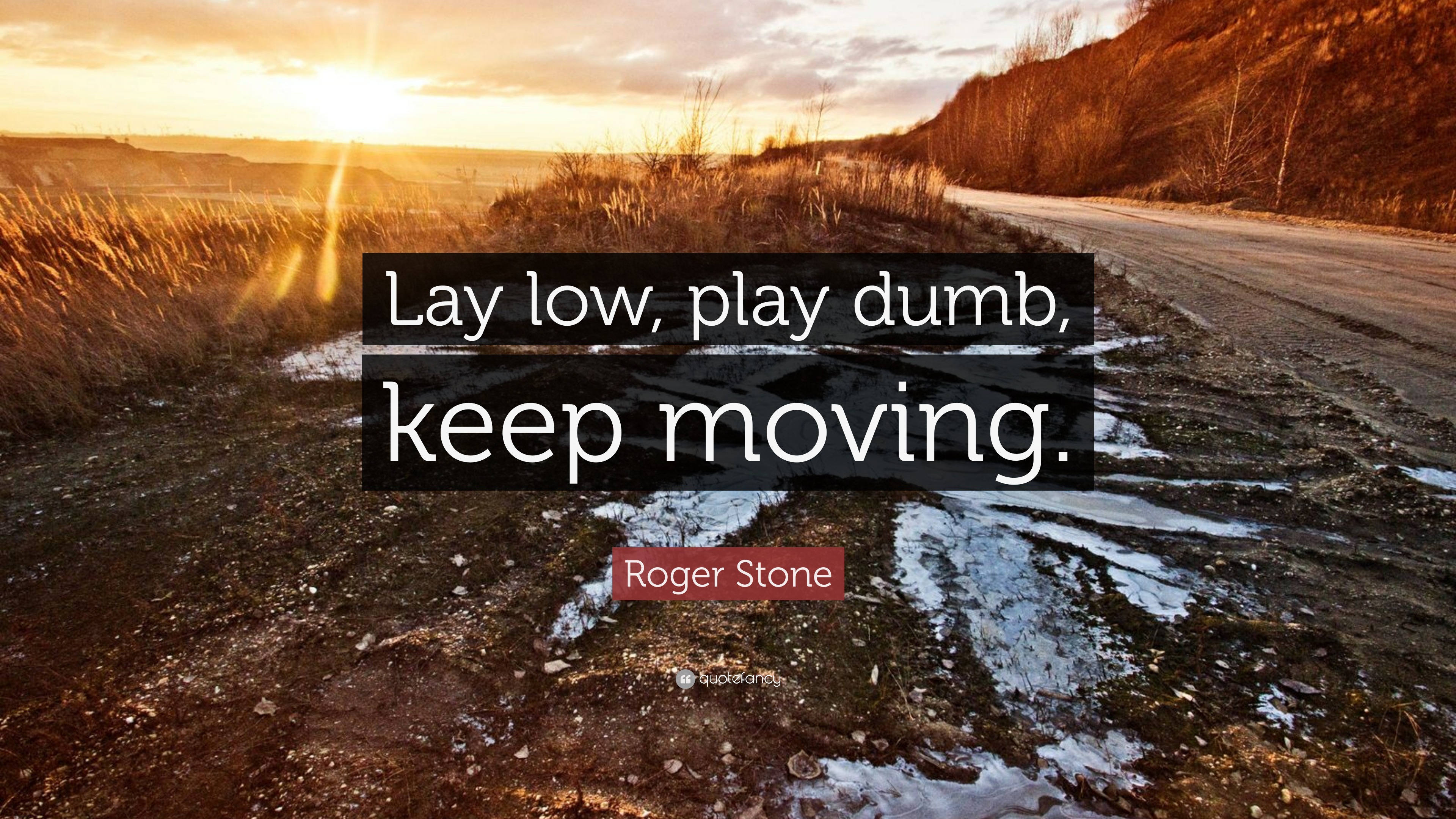 Roger Stone Quote: “Lay low, play dumb, keep moving.”