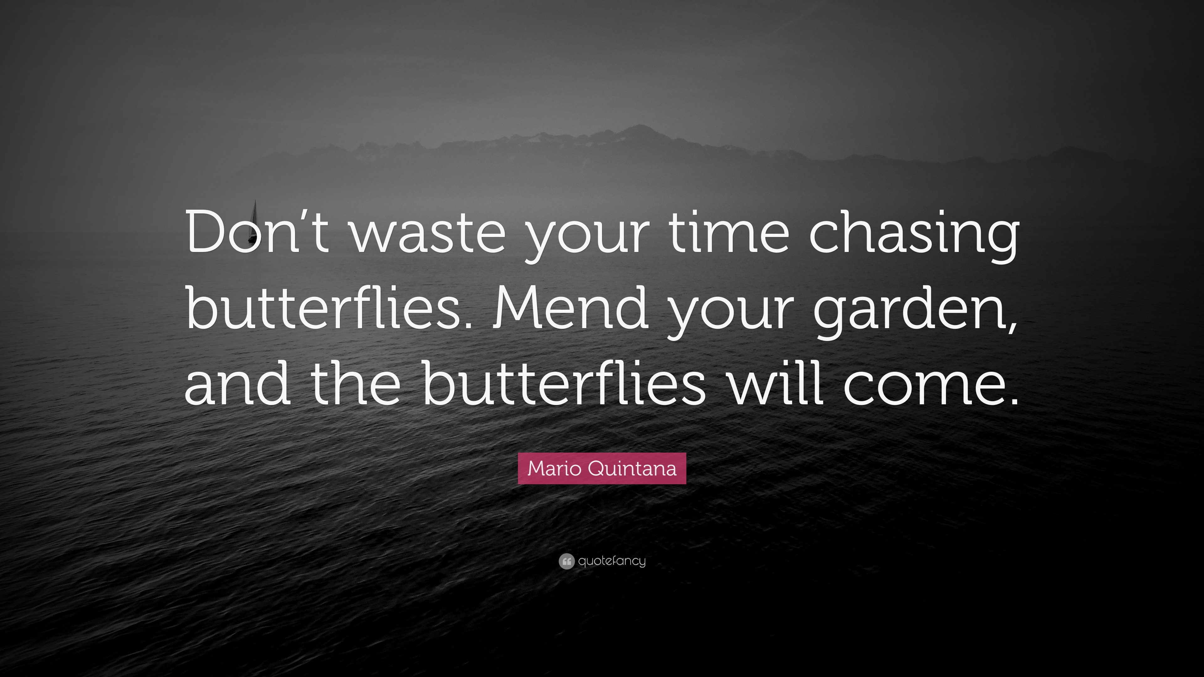 Mario Quintana Quote: “Don’t waste your time chasing butterflies. Mend ...