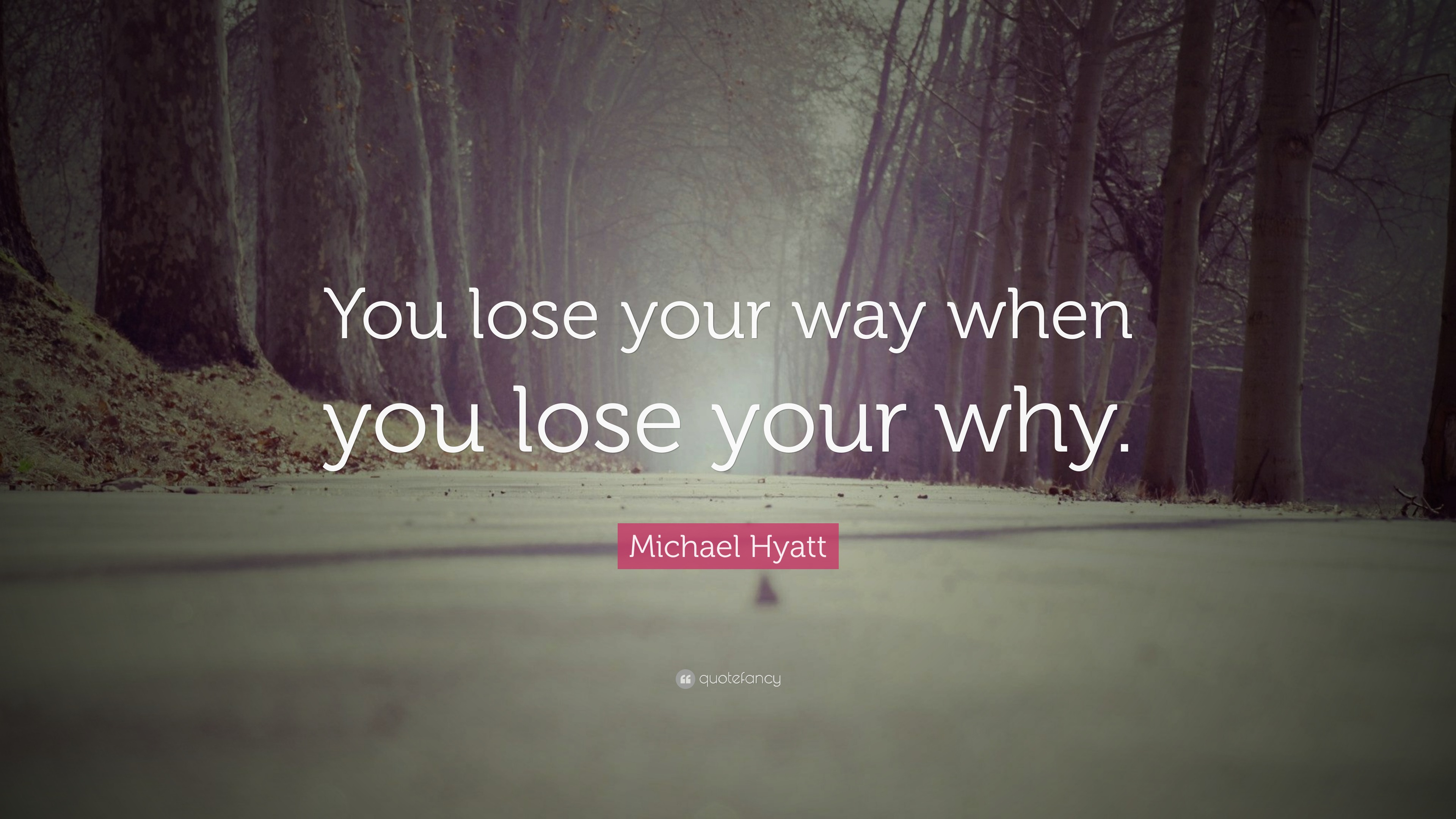 Michael Hyatt Quote “you Lose Your Way When You Lose Your Why”