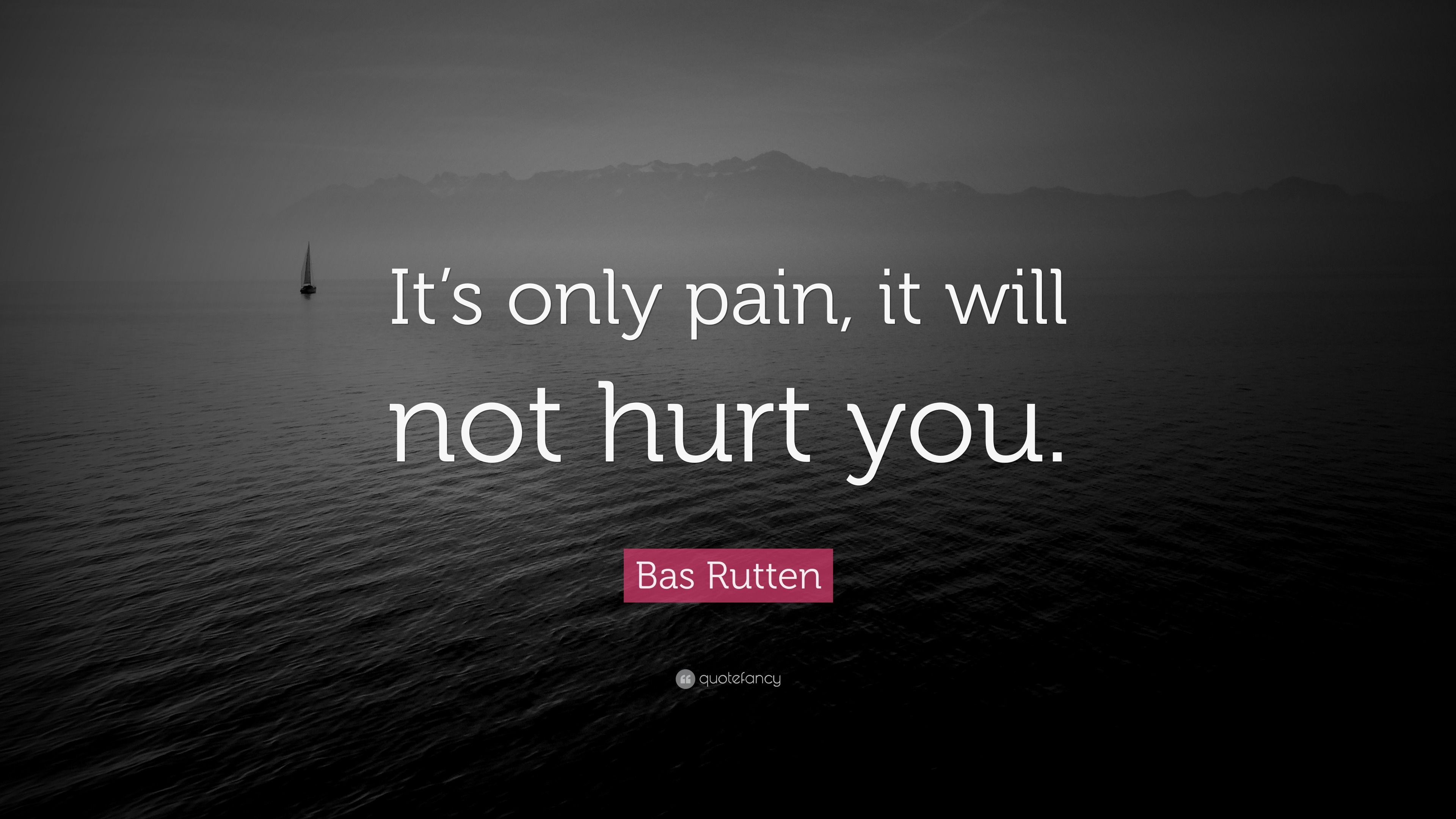 Bas Rutten Quote: “It’s only pain, it will not hurt you.”