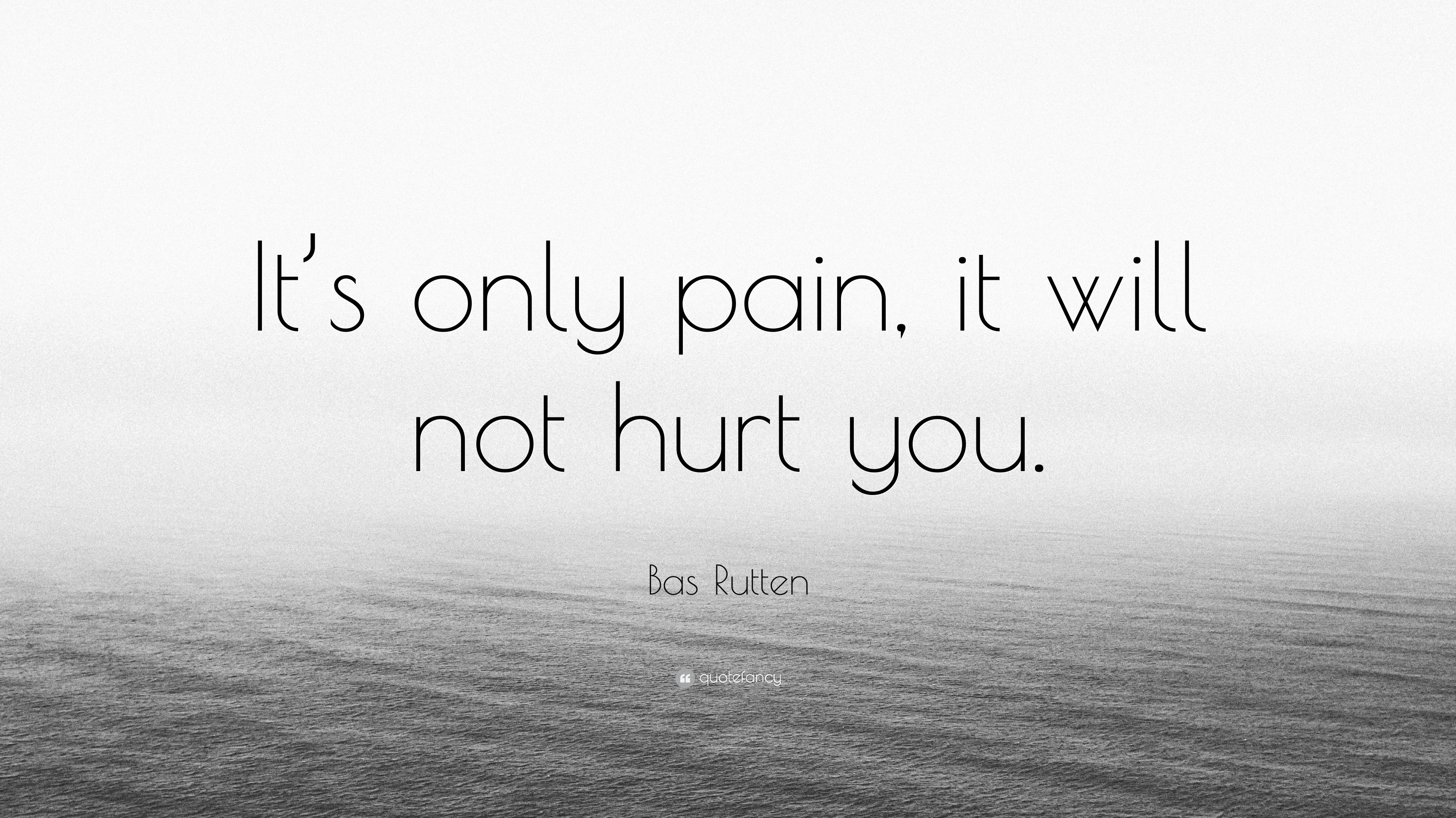 Bas Rutten Quote: “It’s only pain, it will not hurt you.”