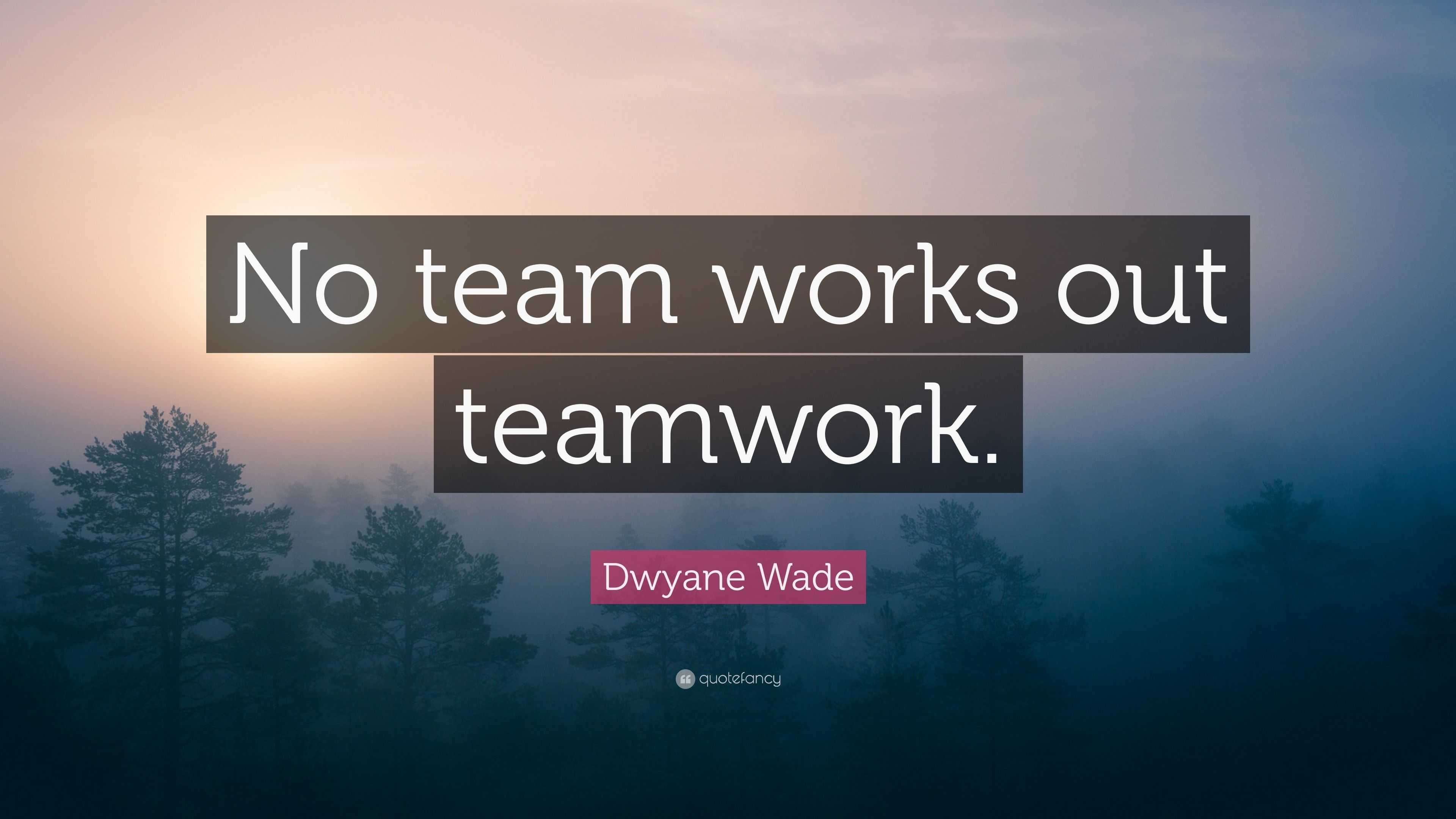 Dwyane Wade Quote: “No team works out teamwork.”