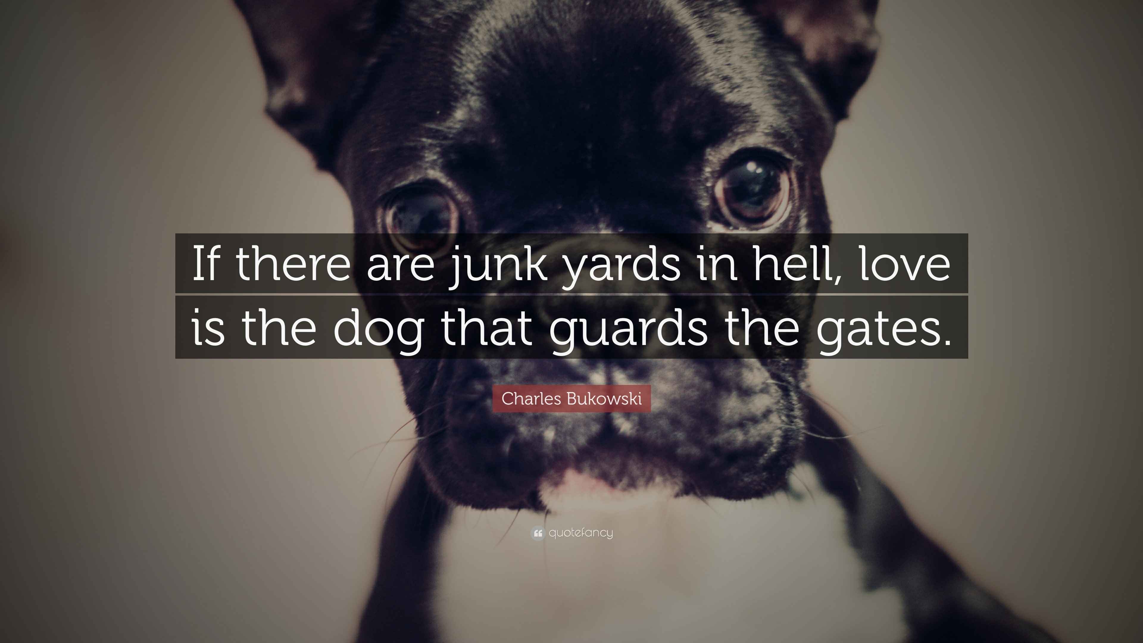 Charles Bukowski Quote: “If there are junk yards in hell, love is the