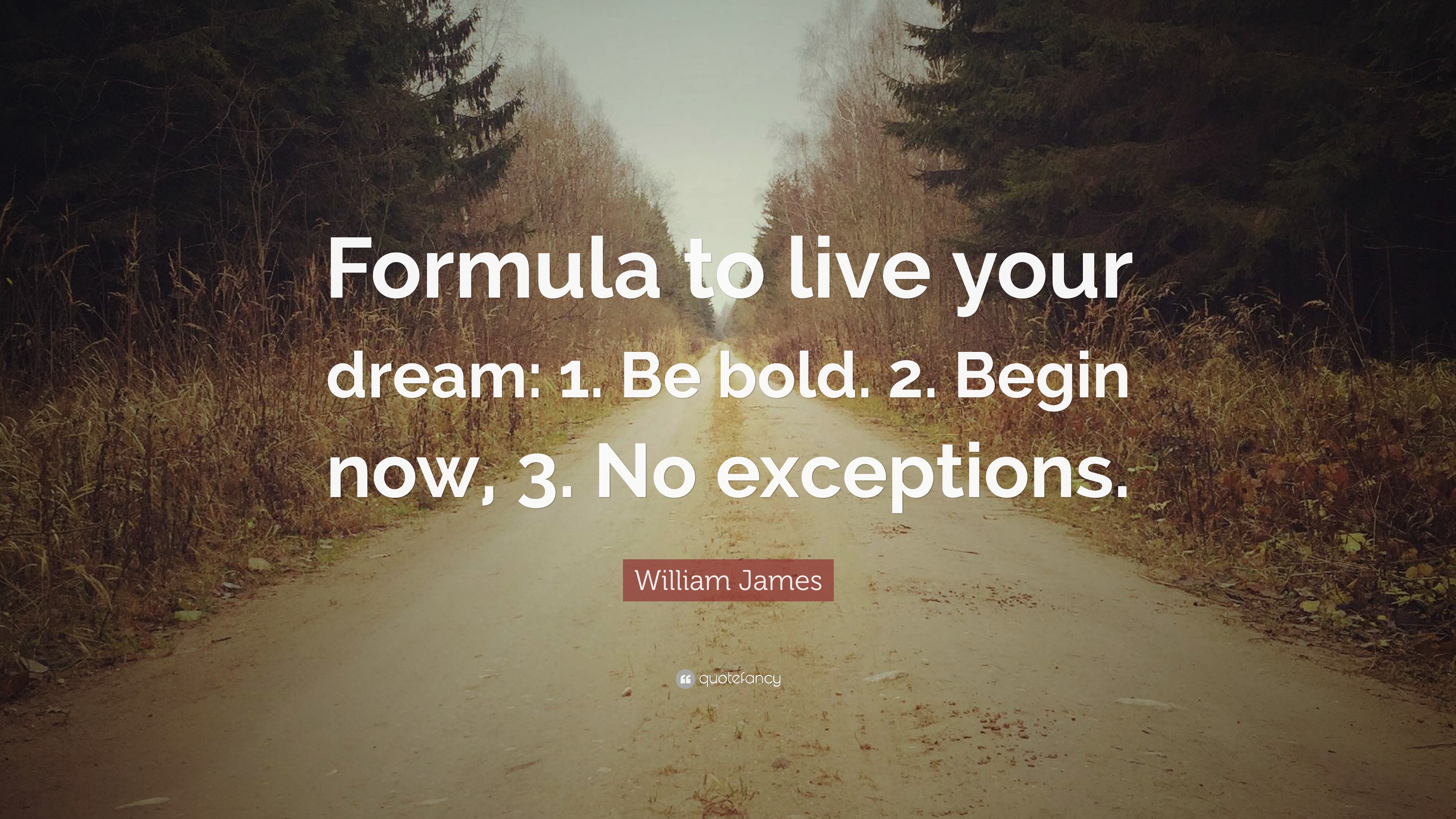 William James Quote “Formula to live your dream 1. Be bold. 2. Begin