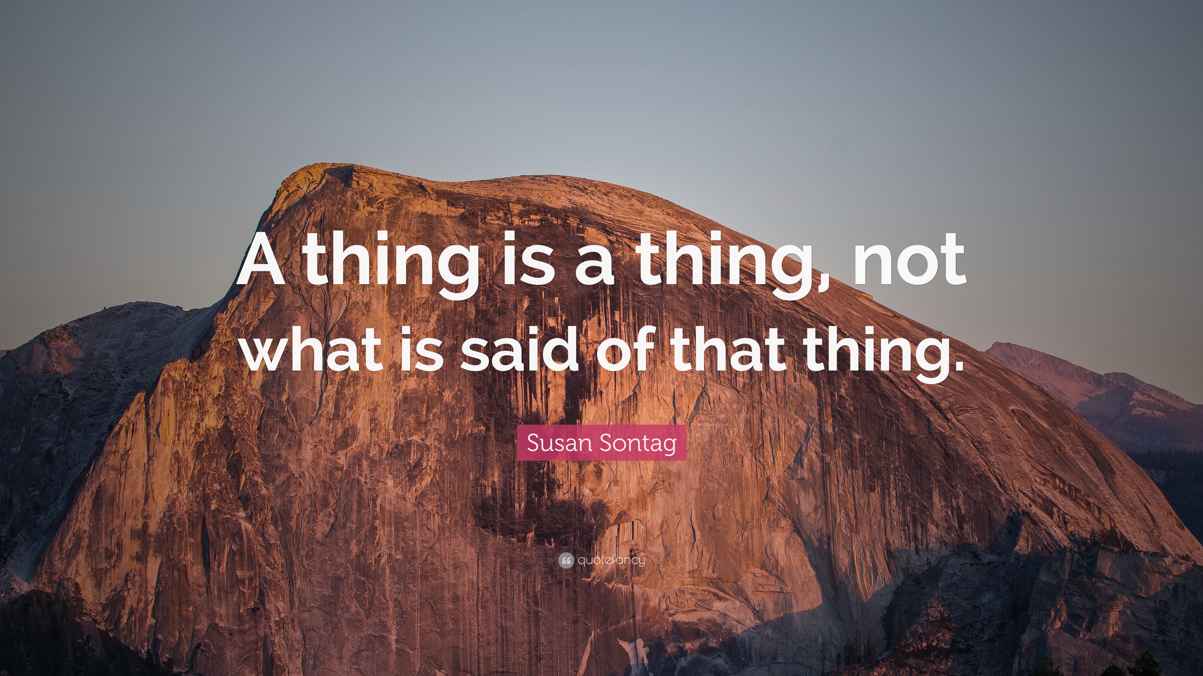 Susan Sontag Quote: “A thing is a thing, not what is said of that thing.”