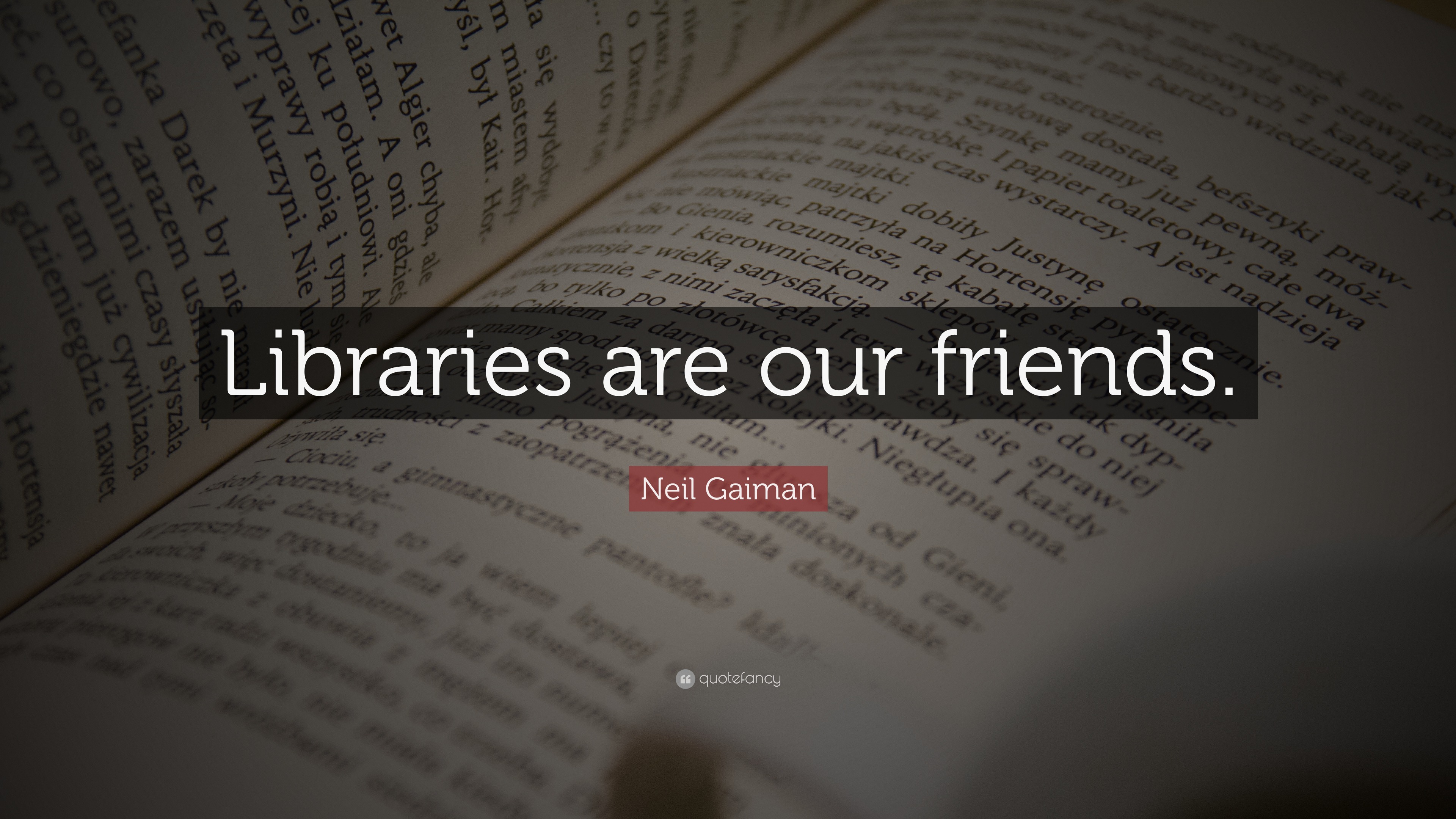 Neil Gaiman Quote: “Libraries are our friends.”