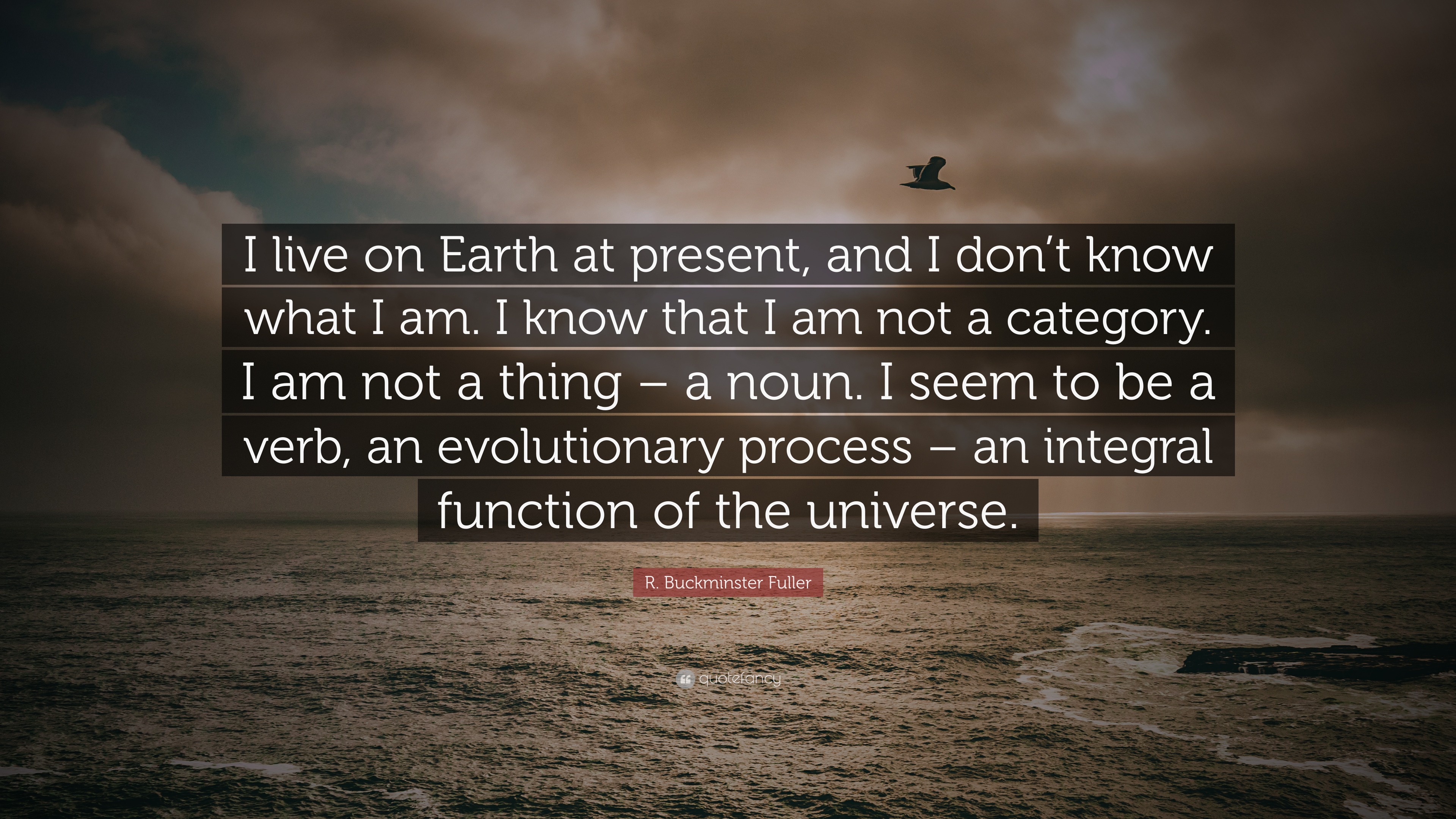 R. Buckminster Fuller Quote “I live on Earth at present, and I don’t