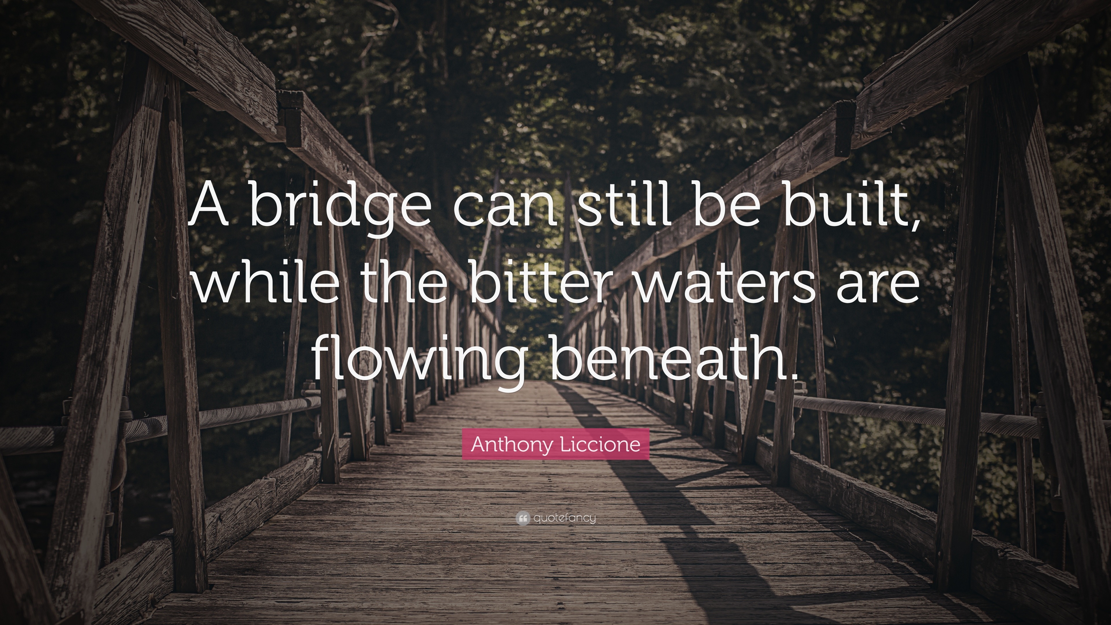 Anthony Liccione Quote: “A bridge can still be built, while the bitter ...