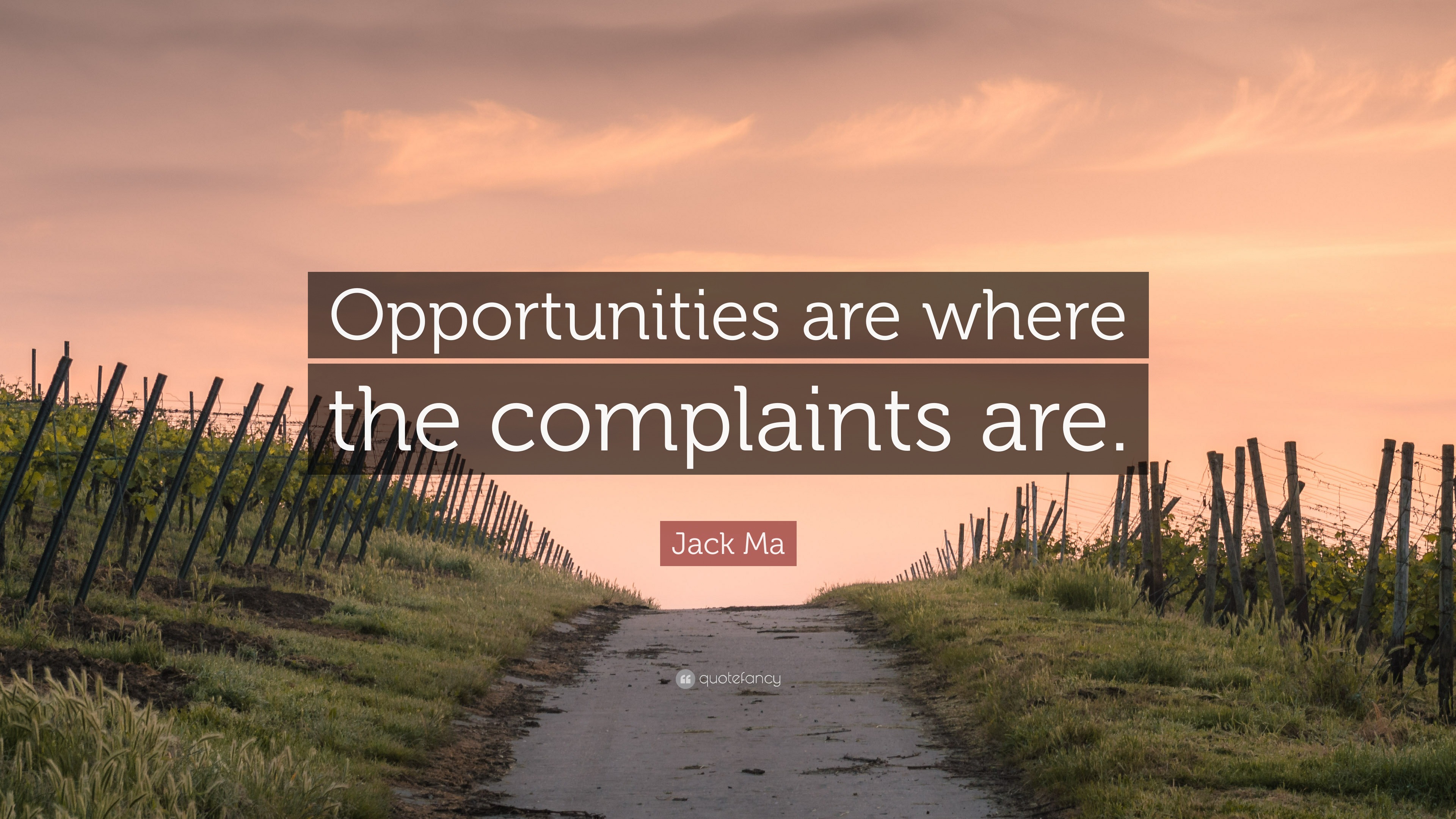 Jack Ma Quote: 