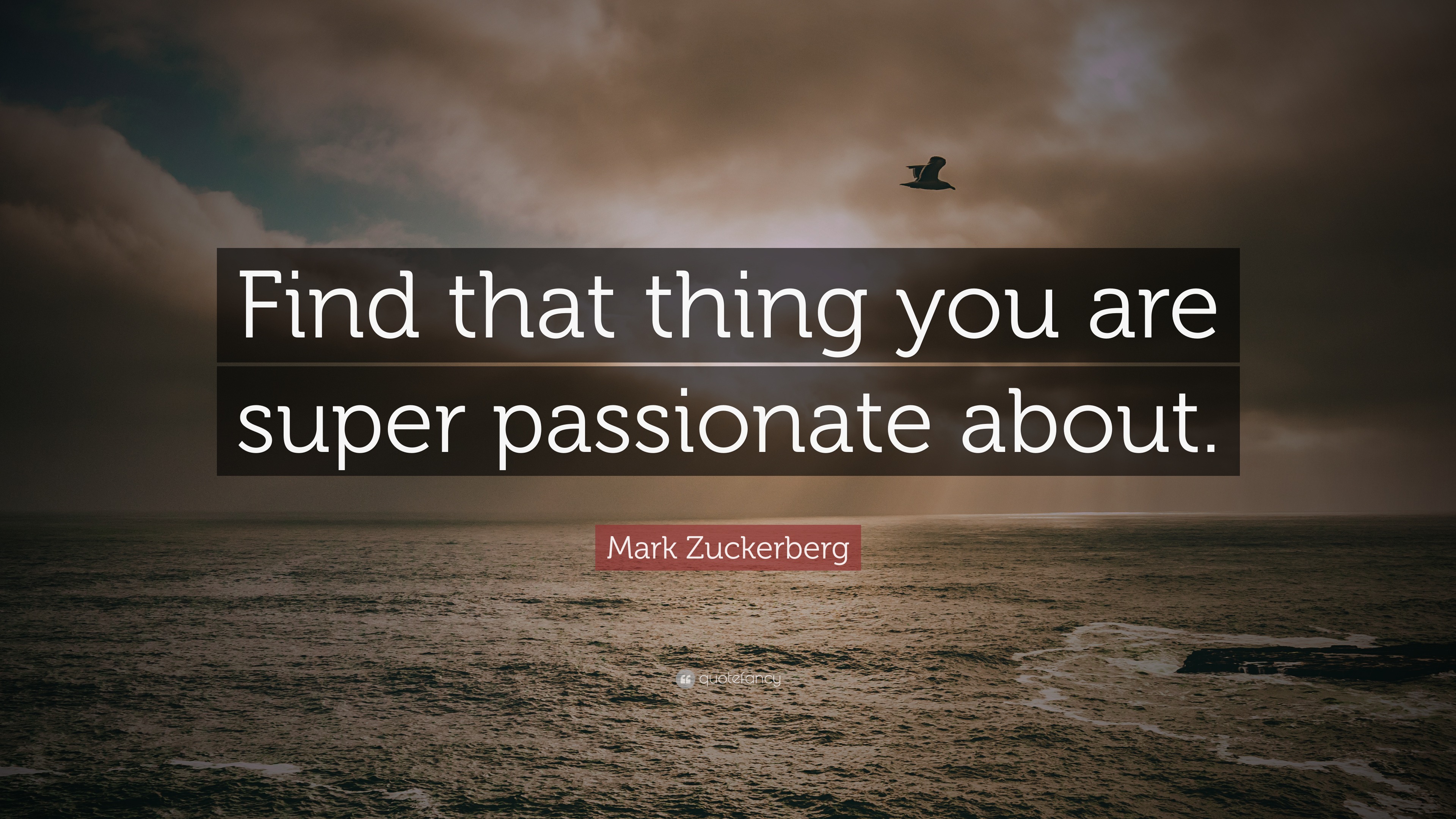 Mark Zuckerberg Quote Find That Thing You Are Super Passionate About 